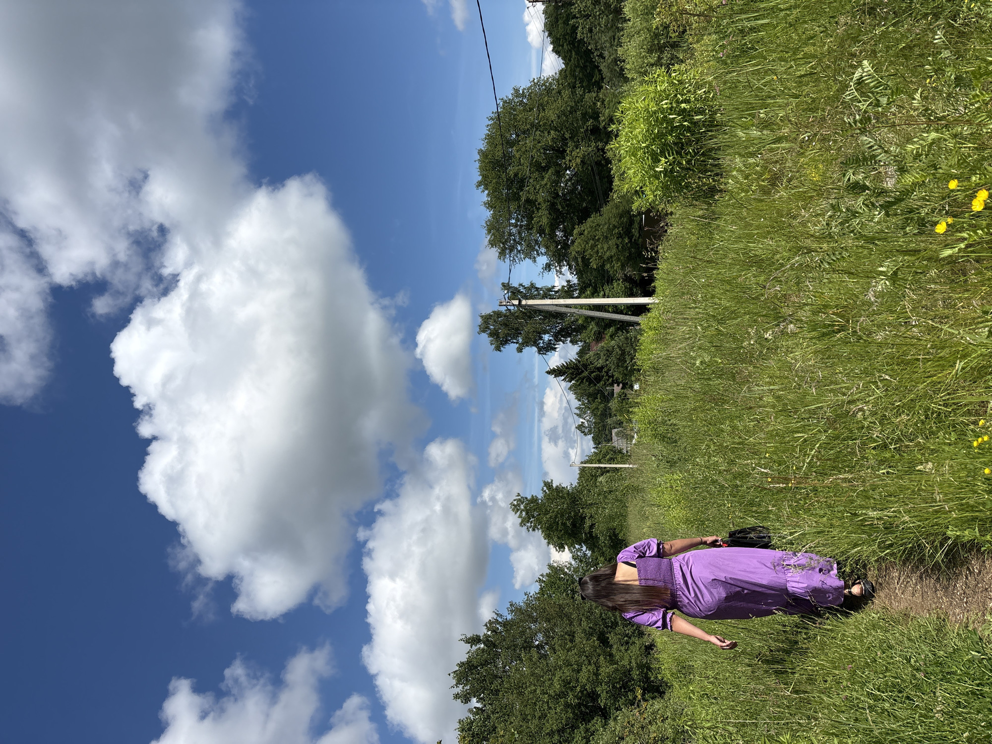 A woman in a long purple dress walks away from the camera on a dirt path through tall green grass. She is carrying a dark bag in her right hand. The path is bordered by dense green foliage and trees. In the background, there are more trees, a wooden utility pole with wires, and a few distant structures. The sky is a vibrant blue with large, fluffy white clouds. The scene appears to be in a rural area, possibly near the village of Pankovka, Russia.