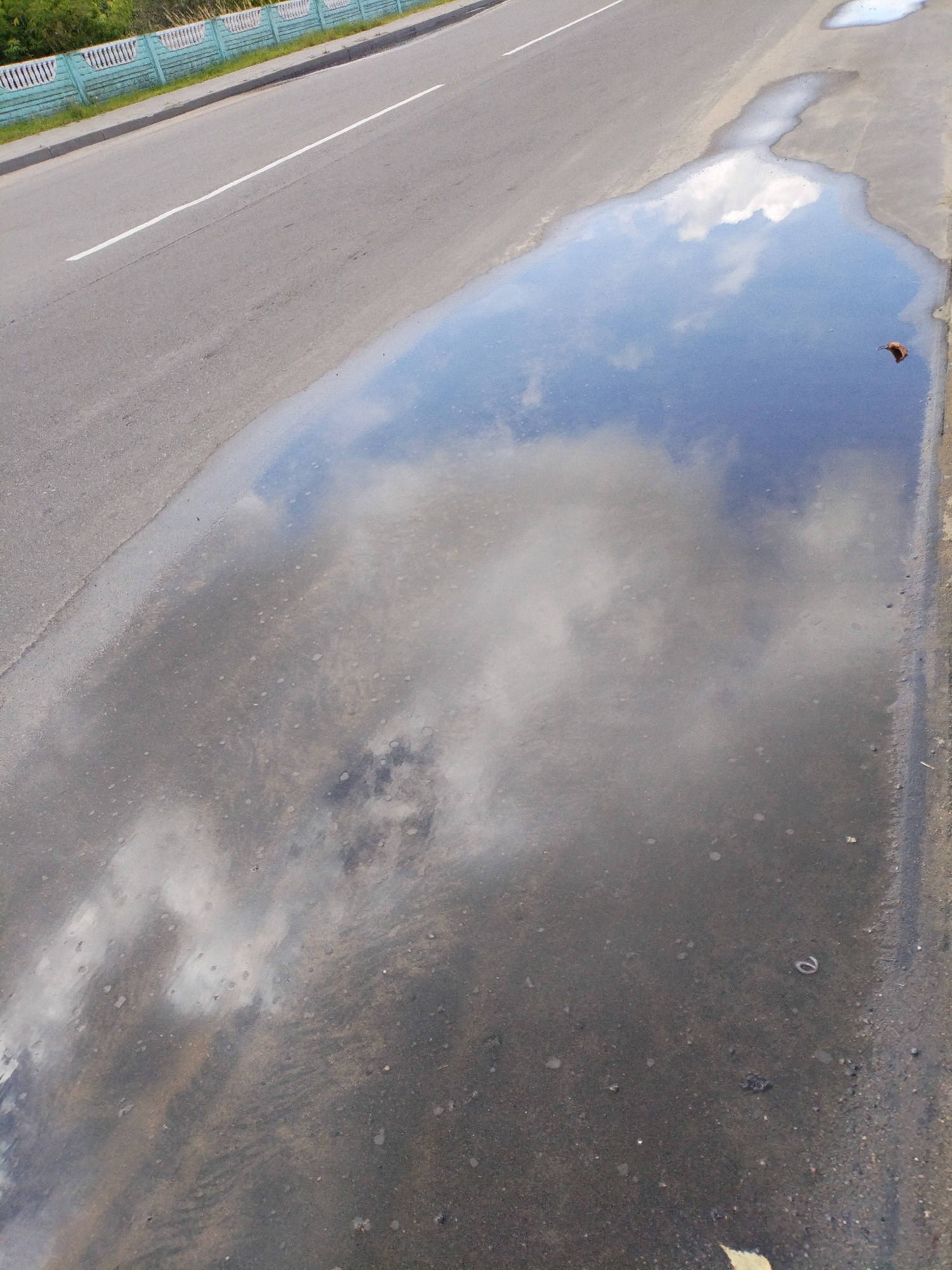 A wide shot from a high angle captures a portion of a paved road with a large puddle reflecting the sky and clouds. The road surface is asphalt with a white line marking a lane. To the left, a light blue concrete fence with a white trim separates the road from a grassy area with trees. The puddle, irregular in shape, occupies the right and lower portion of the frame. A single brown leaf floats on the water's surface, and a coiled piece of white material is visible within the puddle. The overall scene suggests an outdoor environment, likely a roadside in Bialynichy, Belarus, after rainfall.