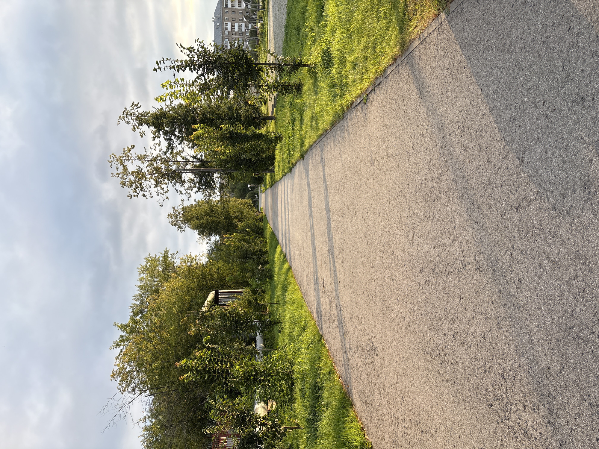 The image depicts a paved pathway in a park-like setting, likely located in the city of Krasnokamsk, Russia. The pathway, made of asphalt, stretches into the distance, bordered on the left by lush green grass and young trees. On the right, the grass continues, interspersed with more mature trees and a glimpse of a multi-story residential building in the background. The sky above is partly cloudy with a soft, diffused light, suggesting it is either early morning or late afternoon. The overall atmosphere is peaceful and serene, with long shadows cast across the pathway by the trees. There are no people or animals visible in the scene.