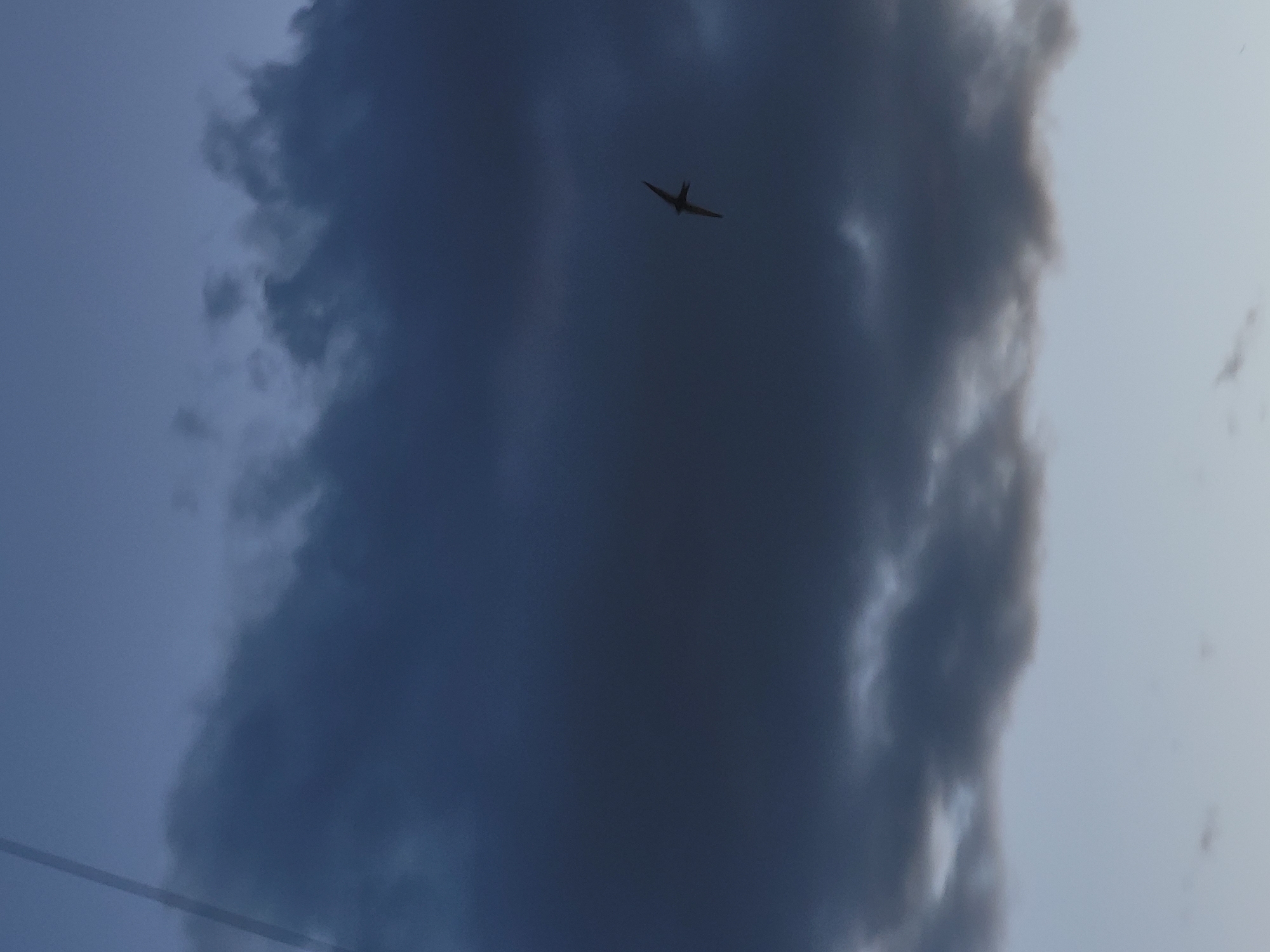 The image shows a dark, possibly storm cloud in a daytime sky. A single bird is visible, flying near the center of the cloud. The sky around the cloud is a lighter shade of blue. The location and specific details about the city of Yerevan, Armenia are not provided by the context of the image.