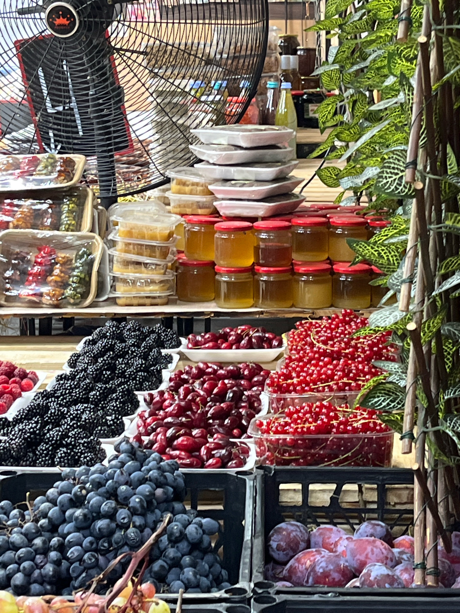 The image depicts a vibrant outdoor fruit stand, likely located in Tbilisi, Georgia. The foreground is dominated by various fresh fruits. On the left, a large bunch of dark blue grapes is displayed in a black crate. To the right of the grapes, a collection of plums, with their characteristic purple skin, are arranged in a similar black crate. Above the grapes and plums, several trays of red currants are visible in clear plastic containers. Next to the red currants, a pile of deep red cherries fills a white tray, and to the left of those cherries, a tray of blackberries is overflowing. Further left, a small tray of raspberries is also visible. In the background, stacked containers of honey are prominent, with red lids, alongside other food items and bottles on shelves. A large black industrial fan is positioned in the upper left of the frame, its blades partially obscuring the background. Lush green foliage with distinctive light green veins cascades down the right side of the image, providing a natural backdrop. The overall impression is one of abundance and freshness, characteristic of a local market or produce stall.