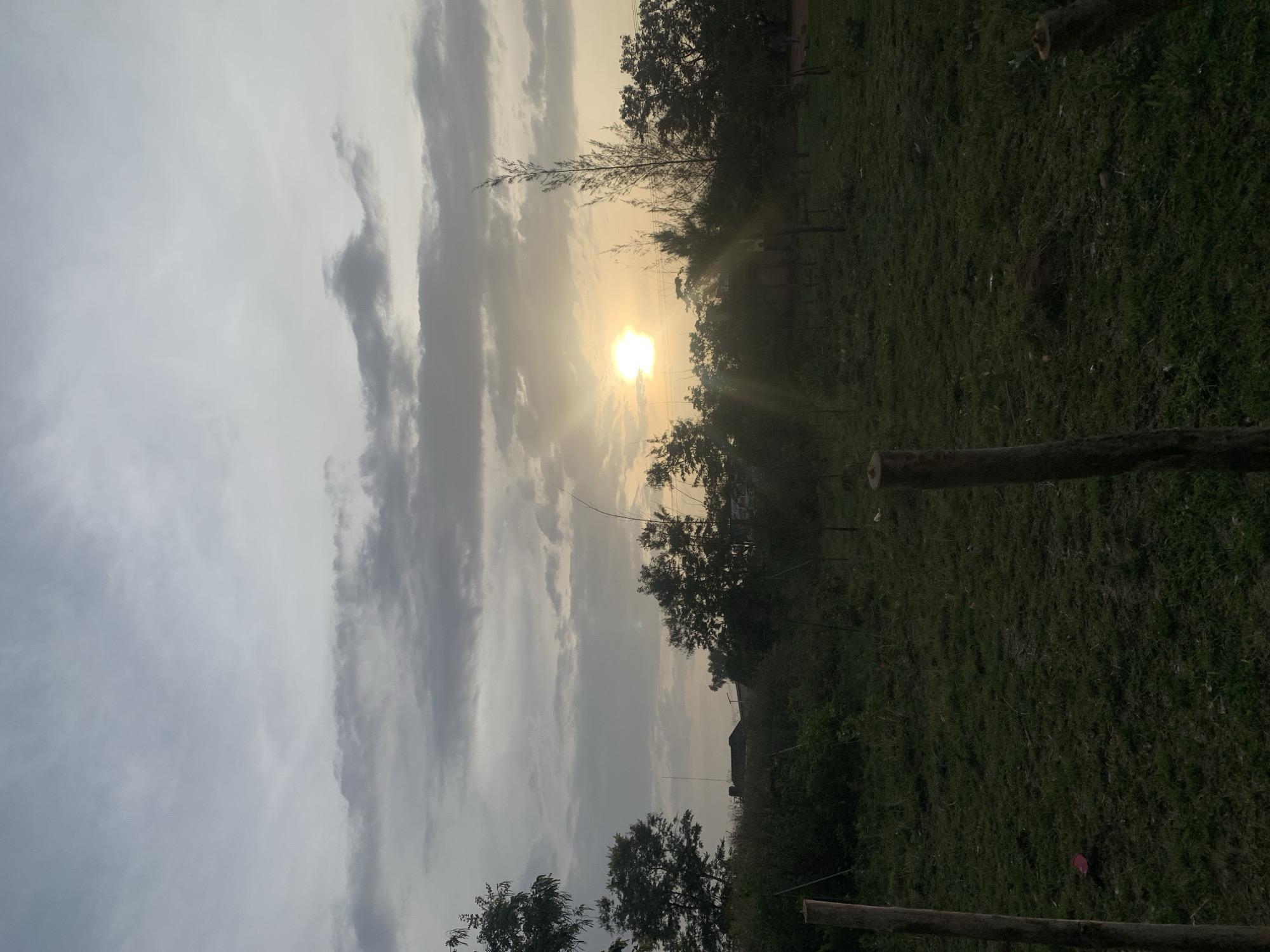 The image captures an outdoor landscape during either sunrise or sunset, characterized by prominent sunlight and a cloudy sky. The sun, a bright golden sphere, is a focal point, situated low in the sky and partially obscured by clouds and tree branches, casting visible rays of light.
The sky above and around the sun features a mix of clouds, ranging from bright, golden-lit formations near the sun to darker, grey masses further away. The overall lighting is warm and backlighting, creating stark silhouettes.
The lower portion of the scene consists of a grassy field or ground cover, appearing dark green due to the backlighting. Various trees and dense foliage are silhouetted against the bright sky, their forms appearing dark green or black. Some trees show delicate, bare-looking branches, while others have full canopies. In the background, a faint, dark silhouette of a structure, possibly a building, is visible amidst the trees. Several dark wooden posts or logs are scattered throughout the foreground and midground, potentially part of a fence or simply discarded wood.
The image conveys a tranquil atmosphere. There are no people, animals, or discernible text present. The primary subjects are the sun, clouds, trees, and grass, illuminated by the low-lying sun.