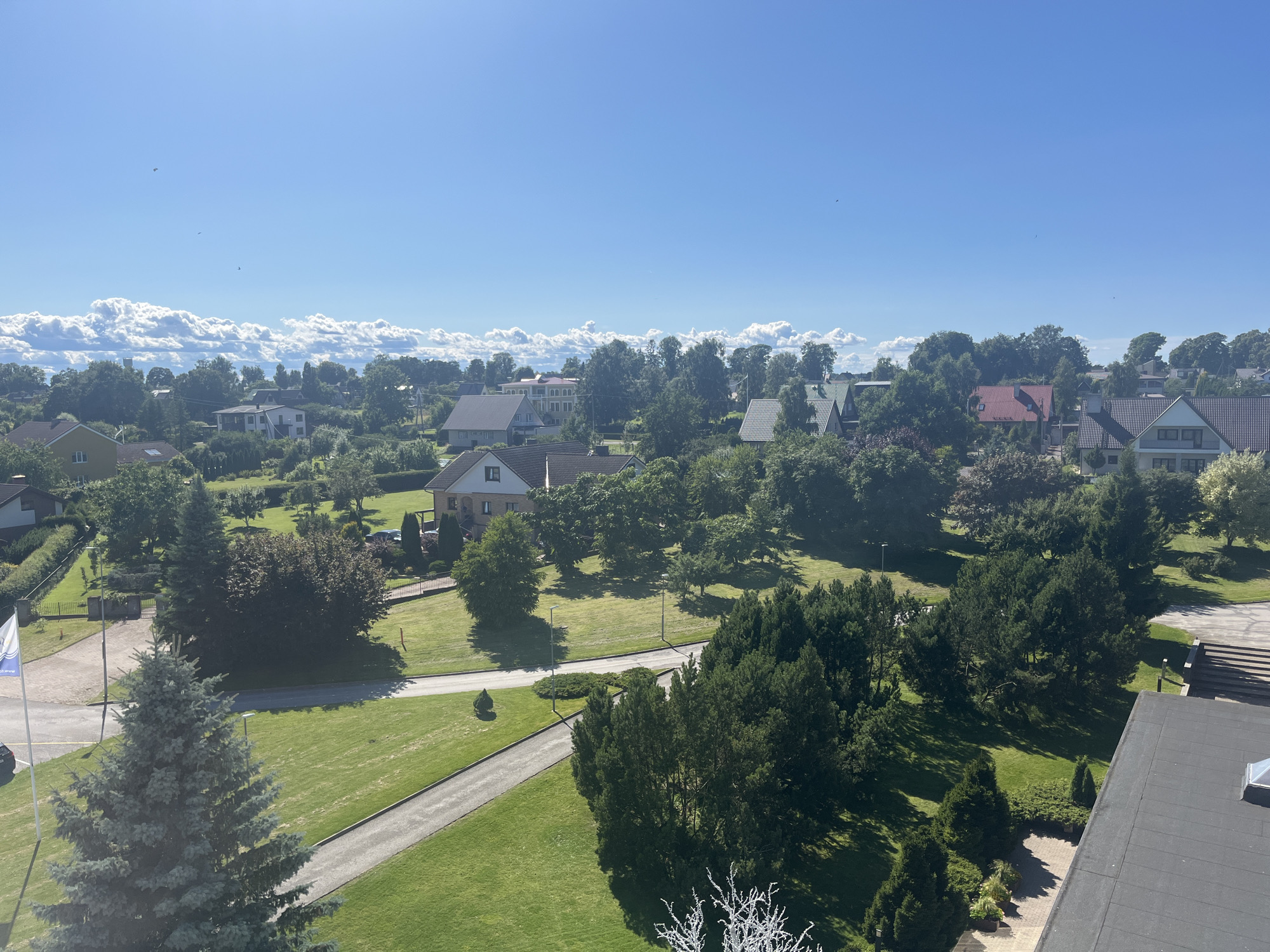 The image depicts a panoramic view of a residential area in Toila, Estonia, on a clear, sunny day. In the foreground, a large evergreen tree is prominent. Beyond that, a manicured lawn stretches out, with paved walkways and a road. Several houses with red and gray roofs are visible, nestled amongst lush green trees. In the distance, a line of fluffy white clouds borders the horizon beneath a bright blue sky. There are no people or animals present in the image. The scene conveys a peaceful, suburban atmosphere.