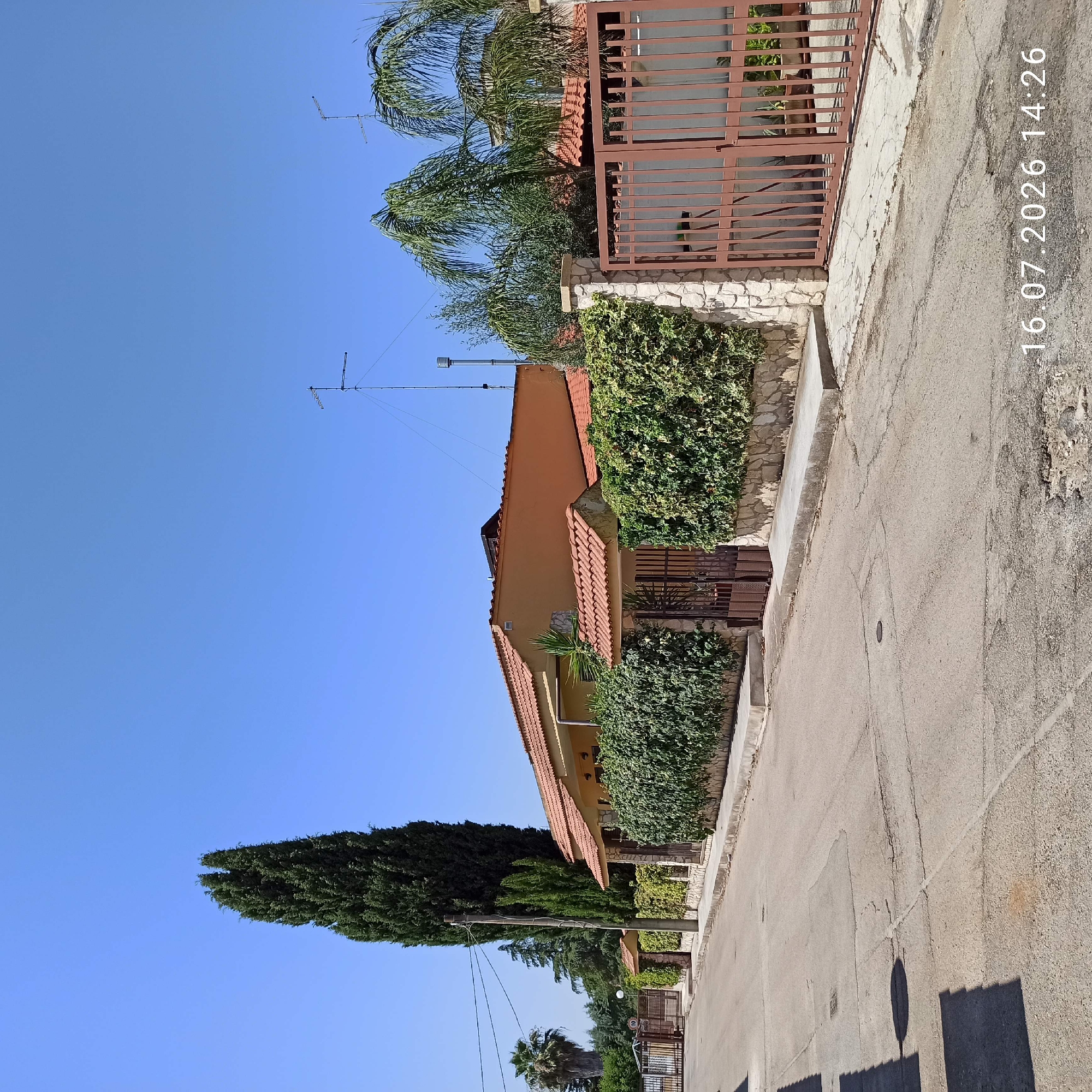 The image depicts a residential street scene in Grumo Appula, Italy, on a clear day, as indicated by the timestamp "16.07.2026 14:26". The foreground shows a cracked asphalt road with some minor damage and pavement discoloration. To the right, a concrete sidewalk runs alongside a property boundary. This boundary is marked by a low stone wall topped with dense, green ivy. A tall, ornamental gate made of vertical metal bars, painted a reddish-brown, is prominent on the right side of the frame, providing access to the property. Behind the ivy and wall, the corner of a single-story house with an orange-tiled roof and a yellow facade is visible.
Further down the street, on the left, another property with a similar metal gate is partially visible. A tall, slender evergreen tree, possibly a cypress, stands to the left of the main house. More trees, including palm trees, are visible in the background, contributing to a suburban or semi-rural atmosphere. Several television antennas are mounted on the roofs of the houses, suggesting the presence of residential buildings. The overall environment appears to be a quiet street in a town or village. No people or animals are present in the image, and no specific actions or interactions are depicted.