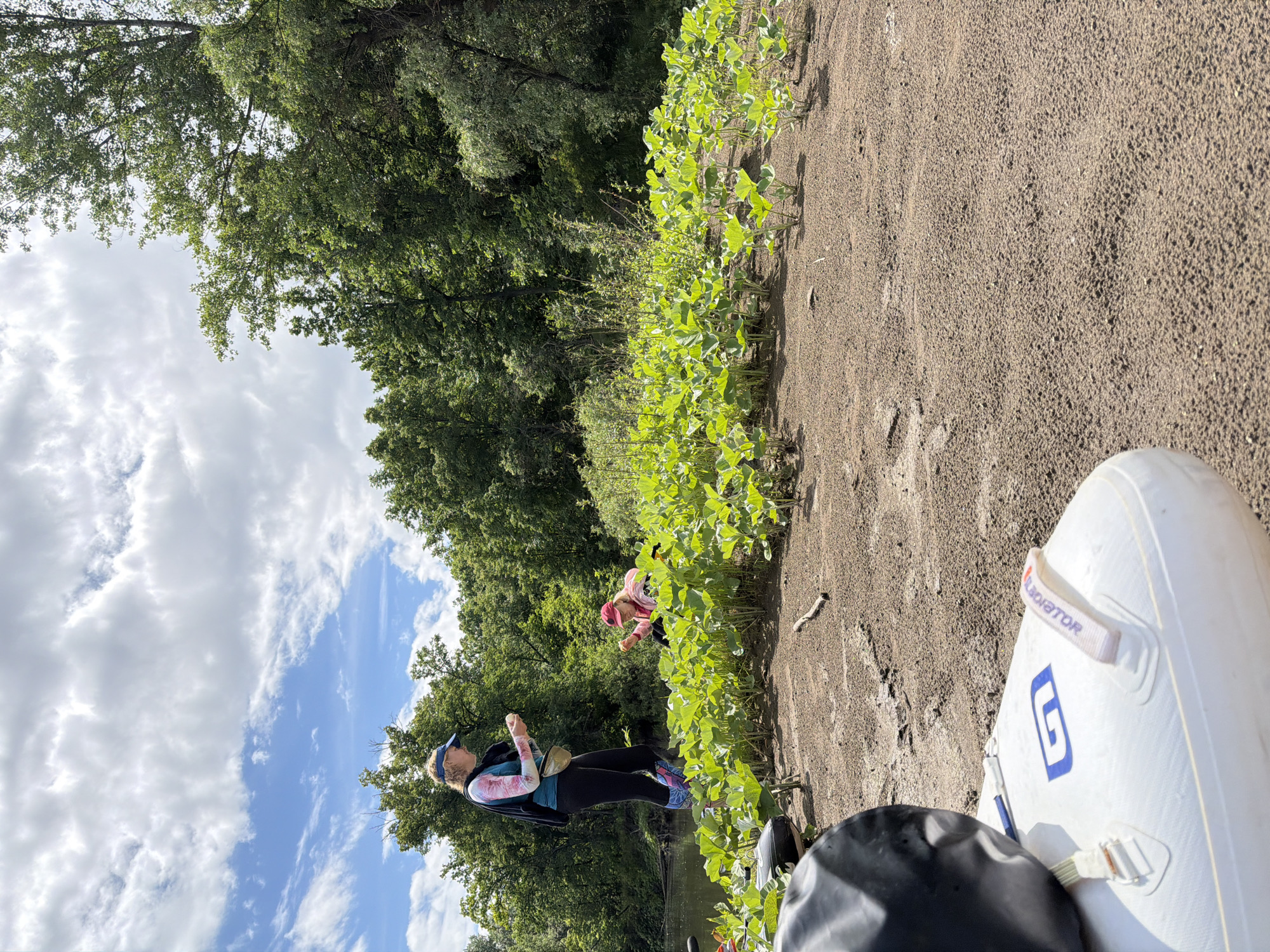 The image captures an outdoor scene on a sandy riverbank in Il'inka, Russia, under a partly cloudy sky. In the immediate foreground, the bow of a white inflatable stand-up paddleboard or kayak is visible, featuring a blue "G" logo and a white strap with the text "GLADIATOR." A black dry bag rests on the left side of the paddleboard.
Two adult females are present on the bank. The woman on the left stands upright, wearing a blue visor, a multi-colored long-sleeved shirt with pink, blue, and white patterns, dark leggings, and patterned leg coverings that match her shirt. A light-colored fanny pack is visible around her waist, and a dark garment or backpack is draped over her left shoulder. She is intently focused on a small, pale object held in both hands. To her right and slightly behind her, a second woman crouches low within a dense patch of young, broad-leafed green plants. She wears a pink cap and a pink long-sleeved top and also appears to be examining a small item in her hands.
The ground around the women and plants is a light brown, coarse sandy or muddy surface with visible textures and small pebbles. A single piece of driftwood lies on the ground between the two individuals. Behind the women, a calm body of water extends, reflecting the sky. The background is dominated by a dense, lush green deciduous forest under natural lighting conditions.