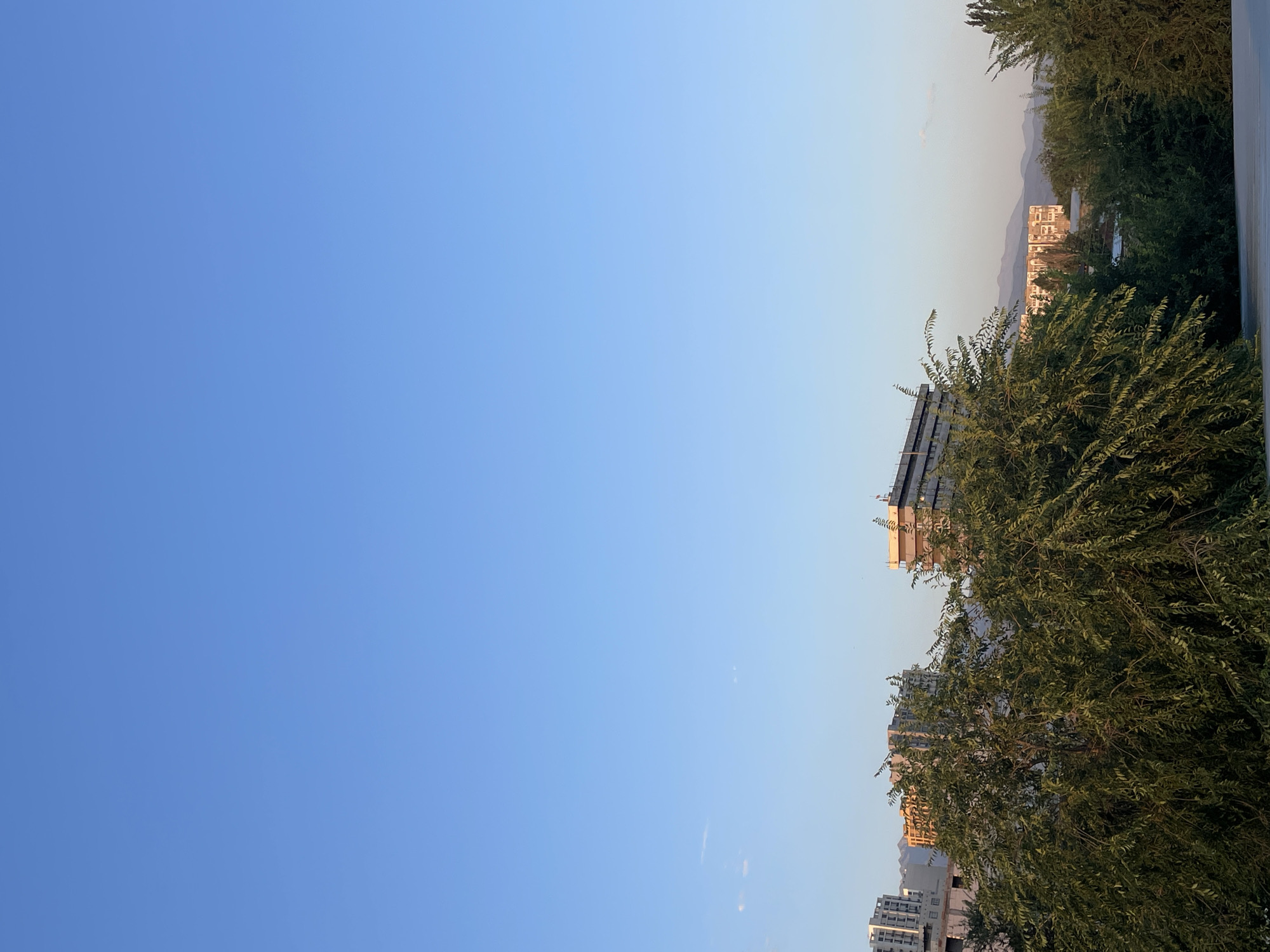 The image captures a view of the city of Almaty, Kazakhstan, with a clear blue sky dominating the upper portion. In the lower half of the frame, a dense canopy of green trees partially obscures buildings and distant mountains.
Several multi-story buildings are visible. To the left, a tall, modern building with a light-colored facade stands out. Further to the right, a building with a predominantly orange-toned facade and visible construction elements is present. Another building, appearing under construction with exposed concrete and rebar, is situated to the left of this orange building. In the distance, a cluster of buildings can be seen, and behind them, layered mountain ranges form the horizon. The trees in the foreground are lush and leafy, with their branches creating a textured natural screen across the scene. The lighting suggests it is either early morning or late afternoon, with a warm glow illuminating some of the buildings. There are no people or animals visible in the image. The foreground features a light-colored, flat surface, possibly a balcony or rooftop.