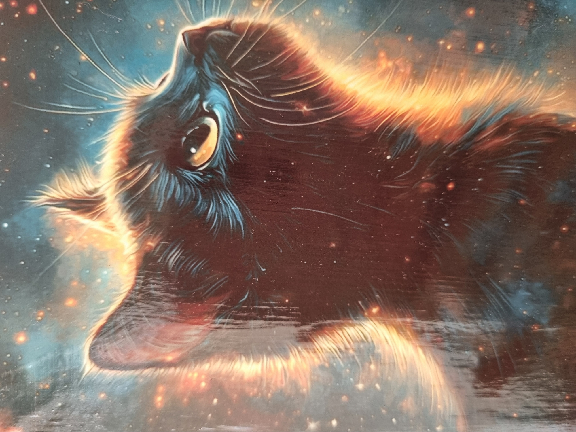 A close-up artistic rendition of a black cat is shown in profile, looking upwards. The cat has one visible amber eye. Its fur is detailed with strokes of dark blue and orange. The background is a blend of dark blue with small orange and white specks, resembling a night sky or outer space. The image does not depict the city of Sochi, Russia.