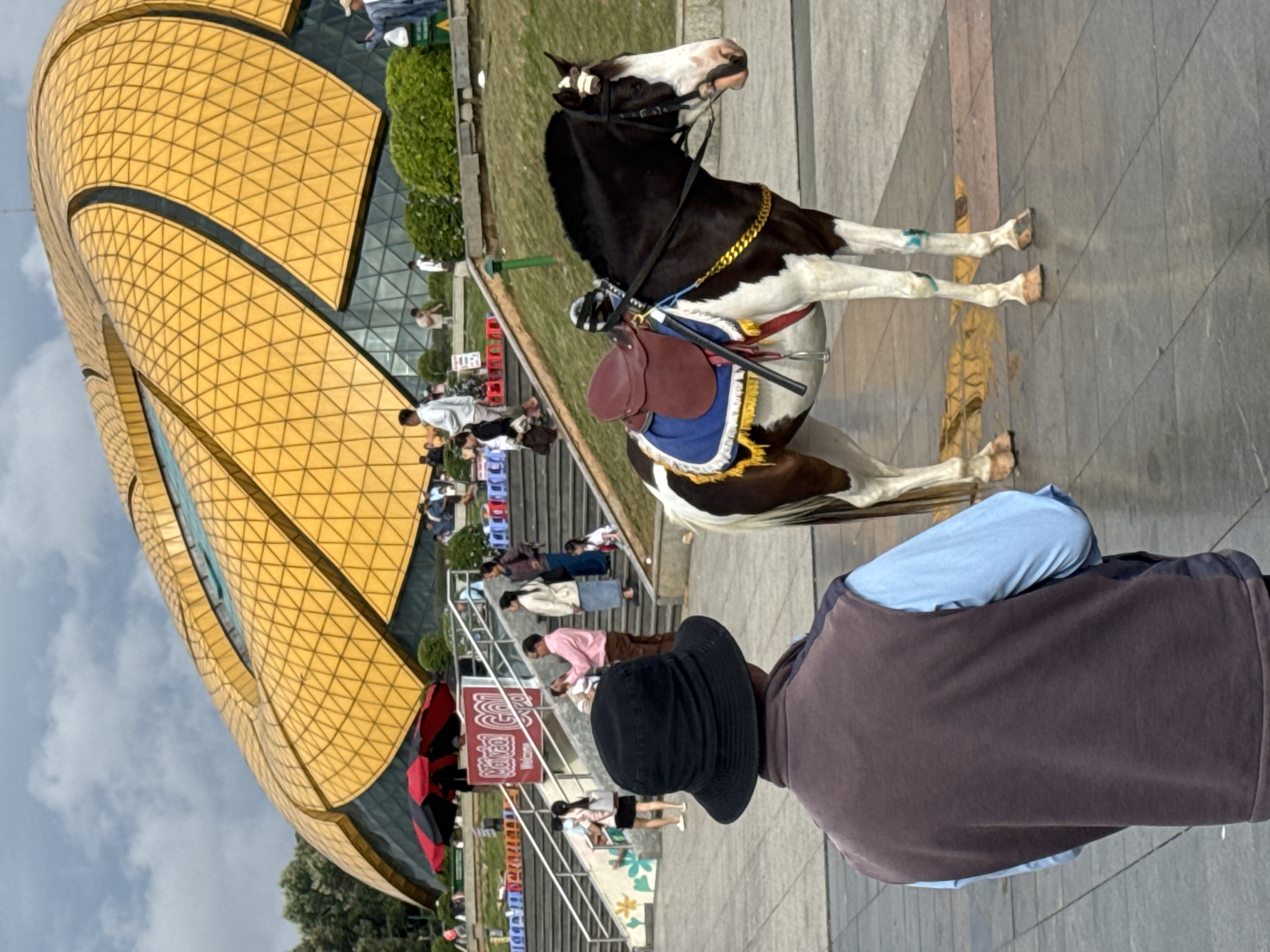 The image presents a daytime scene in Da Lat, Vietnam, focusing on a decorated horse, a unique building, and various people. In the foreground, a person is seen from behind, wearing a black bucket hat, a dark brown vest, and a light blue long-sleeved shirt, facing towards the main subjects.
A black and white pinto horse stands on a paved walkway, adorned with a brown leather saddle over a blue and white patterned pad, and a gold chain around its neck. Its bridle is black, and its white-marked legs show faint blue/green smudges. The horse appears to be a tourist attraction, possibly for rides or photos.
To the left, a large, distinctive building with a golden, geometrically patterned facade dominates the frame. Its design resembles an artichoke or flower bud, characteristic of the Lam Vien Square building in Da Lat, with a glass structure visible beneath the golden exterior.
In the background, a series of concrete stairs are populated by several individuals, some seated and others walking. Some people are holding red umbrellas. Green landscaping is visible around the stairs and near the building. The sky is partly cloudy, indicating it is daytime. A prominent red banner near the stairs clearly displays the text "ĐÀ LẠT", confirming the location. The scene depicts a lively tourist area with visitors enjoying the local sights and activities.