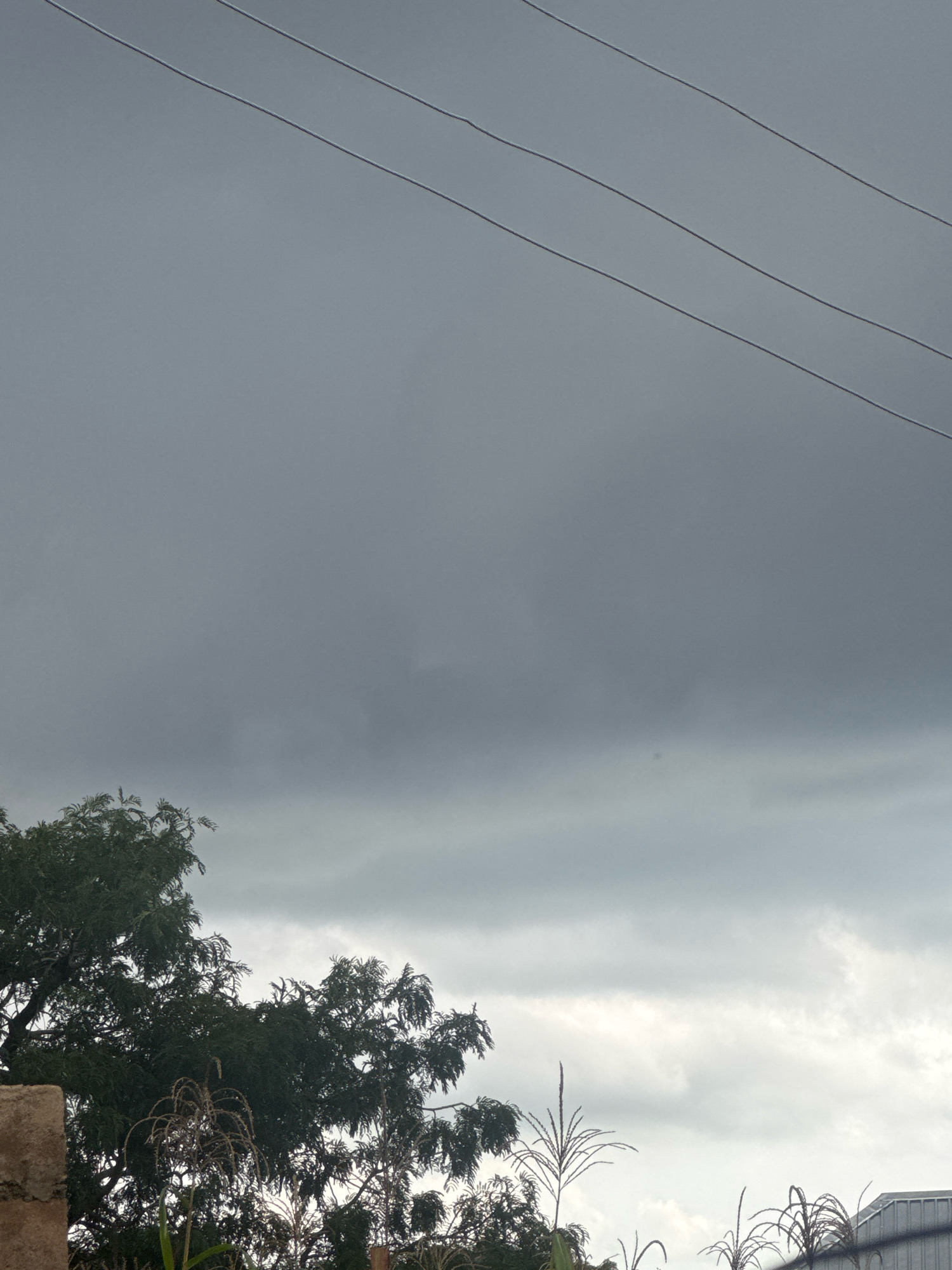 The image depicts an overcast sky with visible power lines stretching across the upper portion. In the lower section, a dense green tree occupies the left side, partially obscuring a light-colored, rough-textured structure. To the right of the tree, dried corn stalks stand upright. The background consists of layered clouds, ranging from dark grey to lighter grey. The scene appears to be an outdoor setting, possibly rural or suburban, with no people or specific urban landmarks visible.