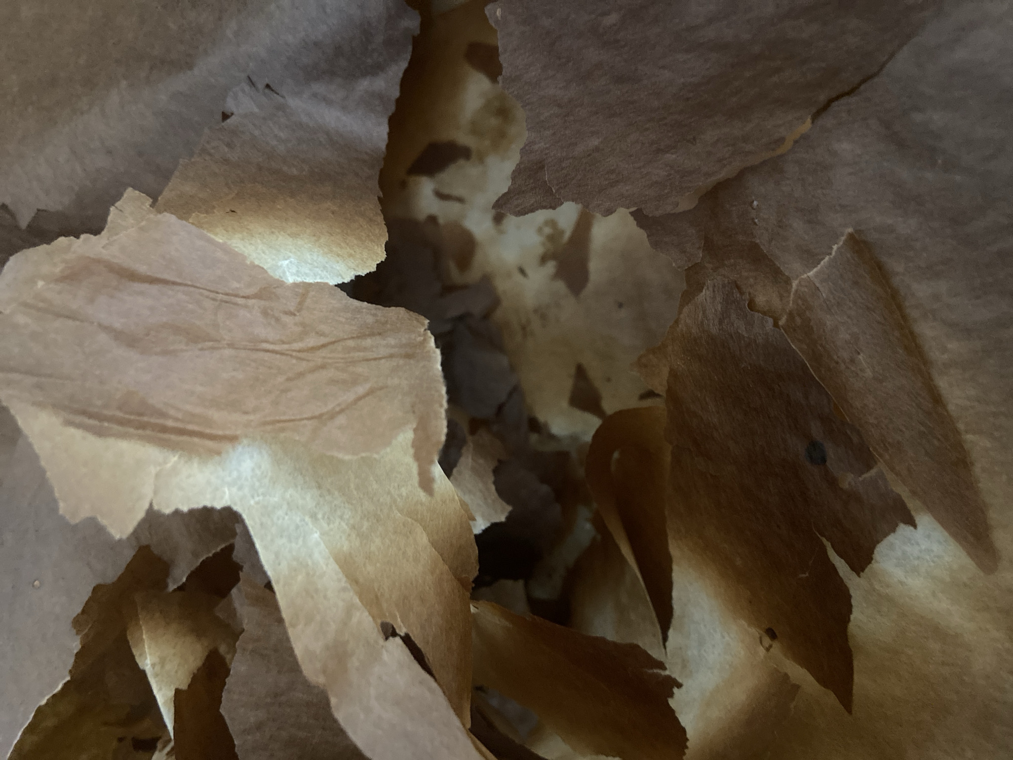 The image shows the inside of a brown paper bag. Fragments of the bag have been torn away, revealing the interior. The background is blurred and out of focus. There is no discernible information relating to Budva, Montenegro.