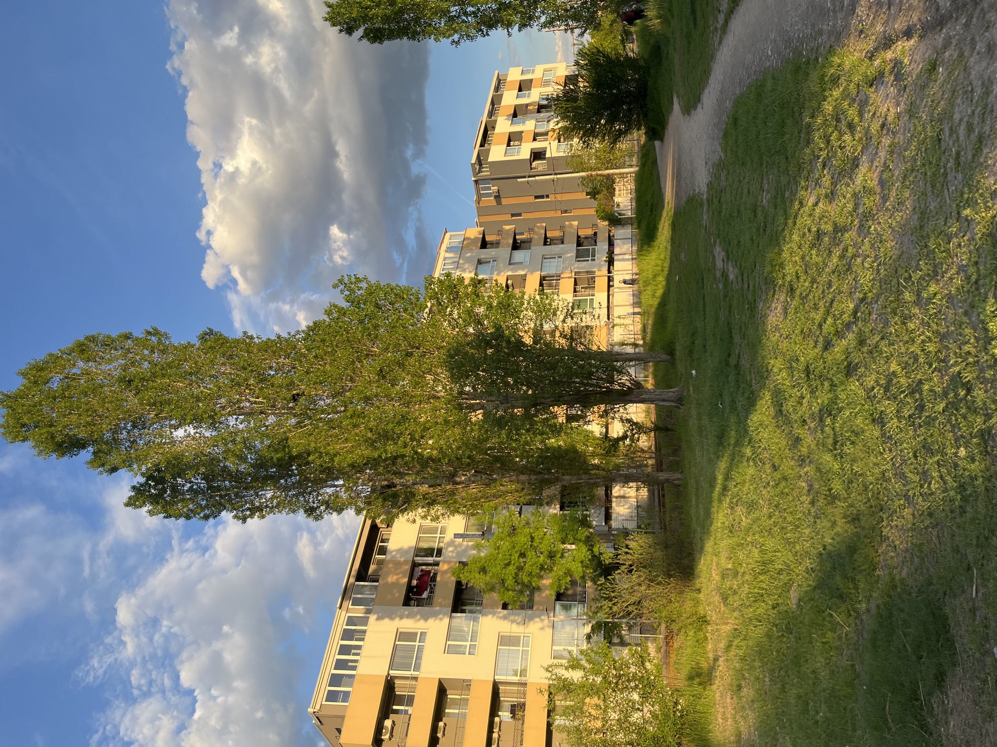 The image shows a sunny, outdoor scene in Sofia, Bulgaria, featuring two modern apartment buildings. The buildings are multi-story and have a mix of beige and gray facades. Tall, slender trees stand in front of the buildings, reaching up towards a bright blue sky with scattered white clouds. A grassy area covers the foreground, with a dirt path visible. The scene appears calm and peaceful.