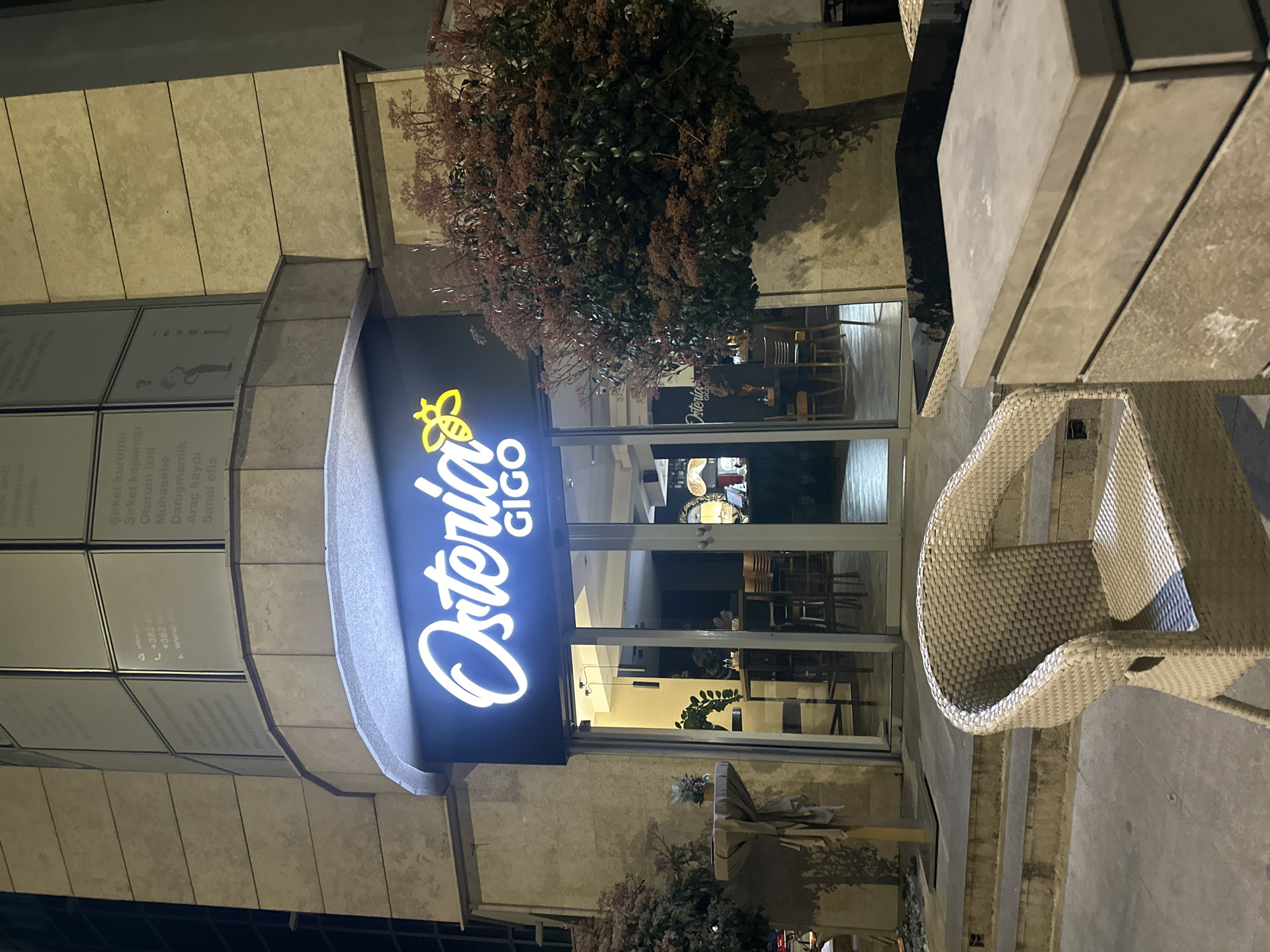 The image depicts the exterior of "Osteria GIGO," a restaurant located in an urban area of Budva, Montenegro, observed at night. The restaurant occupies the ground floor of a modern, multi-story building clad in light-colored stone or tiles. Above the restaurant entrance, large glass panels on the upper floors display text in various languages, including Turkish ("Şirket kurumu," "Oturum izni," "Muhasebe," "Danışmanlık," "Araç kaydı," "Sanai ofisi") and Cyrillic script (partially visible, likely Russian or Serbian for similar business services), along with a Montenegrin contact number starting with "+382 6X".
The restaurant's neon sign, prominent against a dark fascia, illuminates "Osteria GIGO" in white cursive script, accompanied by a yellow bee logo. The entrance comprises glass doors, through which the well-lit interior is visible, revealing dining tables, chairs, and a bar area with bottles and a mirror.
In the immediate foreground, outside the restaurant, a light-colored wicker chair is positioned on a paved ground surface. To its right, a square, light-grey stone planter or table is present. Two stone steps lead up to the restaurant's threshold. To the left of the entrance, a small, tall table draped with light fabric stands near the building facade. A dense, leafy tree with reddish foliage is situated to the right of the entrance. No individuals are clearly discernible inside or outside the establishment.