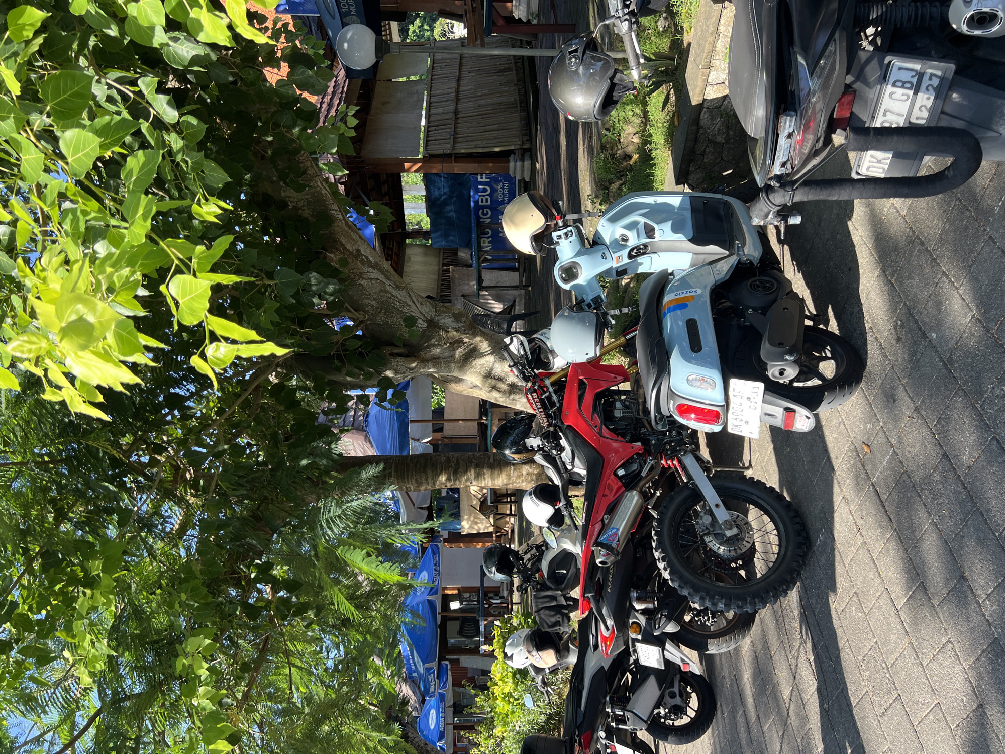 The scene captures a row of parked motorcycles along a brick-paved street, partially shaded by a large tree with lush green leaves. The motorcycles are of various models and colors, including red, blue, black, and white. Helmets rest on some of the bikes. In the background, a building or structure is visible, featuring a banner that reads "ARUNG BUF... 100% MURNI" and "100 MUR..." A sign on one of the motorcycles displays the text "Fazzio." Additional text on the sign appears to indicate, "DK 6904 AF" and "1.31" Another license plate reads "DK 87 GBJ" and "12.27". Blue umbrellas or awnings are present in the background as well.