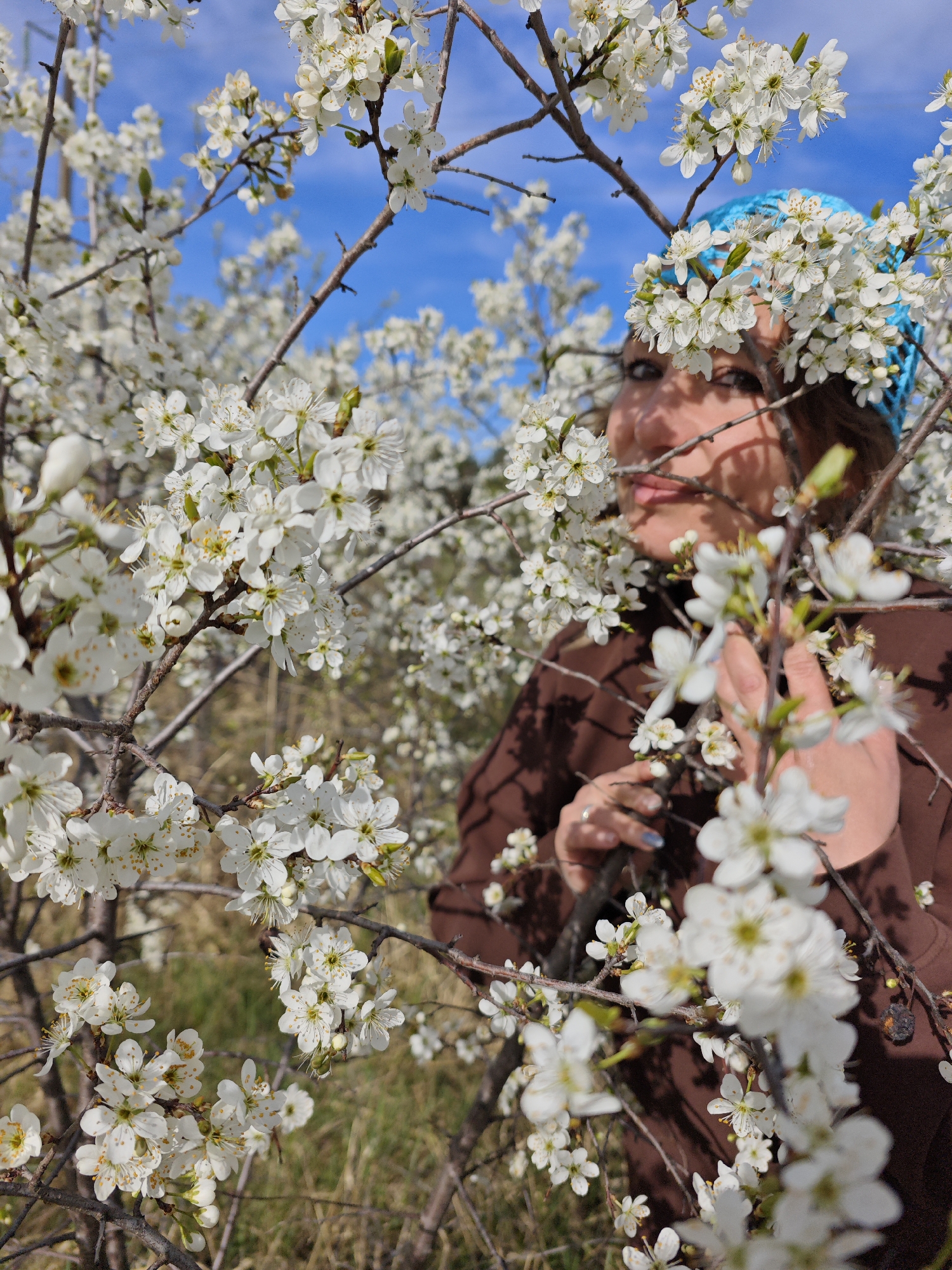 A woman stands amid a blossoming tree in Chaikovsky, Russia. The tree, likely a cherry or plum, is in full bloom with white flowers covering its branches. The woman is wearing a brown long-sleeved shirt and a blue headscarf. She is partially obscured by the flowers, and her hand is visible holding a branch. The background shows more trees with white blossoms under a bright blue sky. The location is most likely outdoors during the daytime.