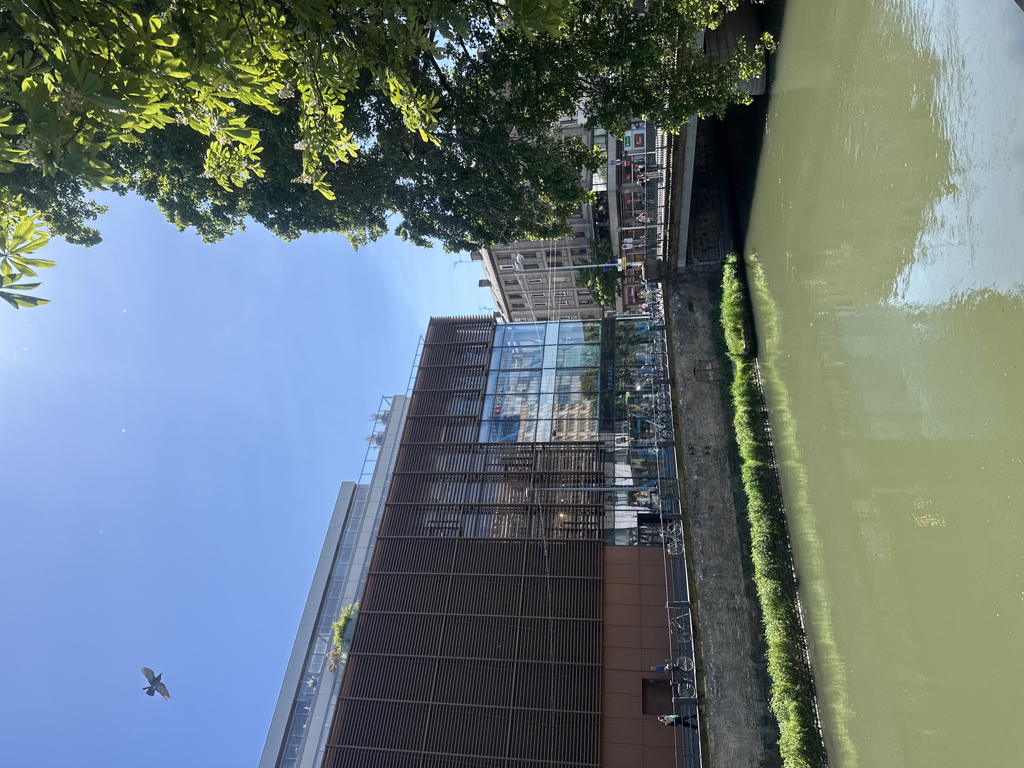 The image shows a canal in Strasbourg, France, next to a modern building with glass and wooden slat facade. The canal water is a murky green color. The bank is lined with greenery. Above, there are trees with dense foliage and a clear blue sky. A bird flies in the lower left corner of the sky. The modern building has several bicycles parked next to it. A bridge with shops is visible in the background.