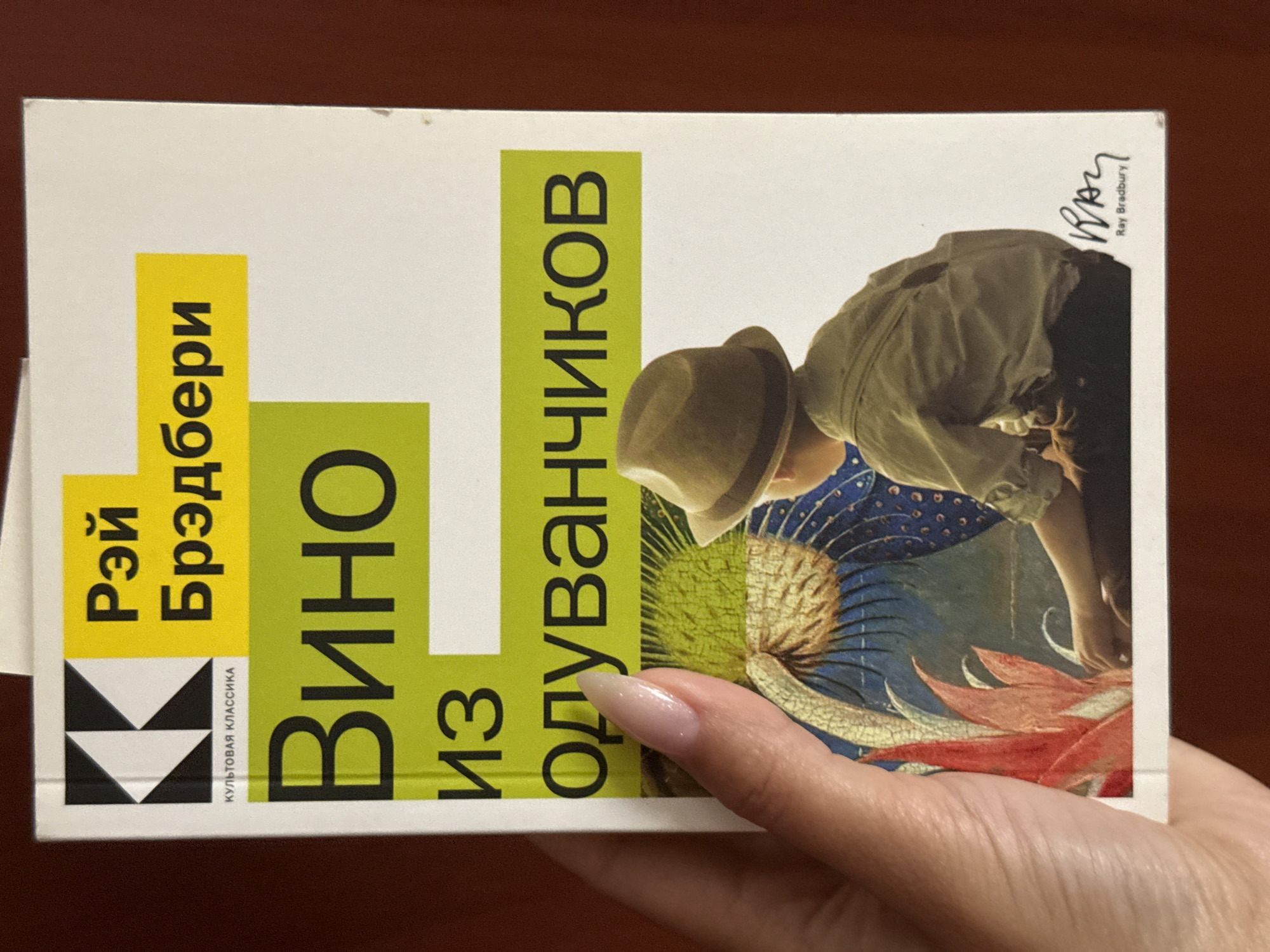 The image is a close-up shot of the cover of a book titled "Вино из одуванчиков" (Dandelion Wine) by Ray Bradbury. The book cover is predominantly white with a yellow and green rectangular banner across the top and middle. The yellow banner contains text in black Cyrillic letters, "Рэй Брэдбери." Below this, the green banner features the title "Вино из одуванчиков" in large black Cyrillic letters. A hand with a light-colored fingernail is holding the book from the left side, partially obscuring the text and the image. The image on the cover depicts a young boy wearing a hat, seen from behind, sitting amidst some stylized flora. A signature "Ray Bradbury" is visible in the bottom right corner. The background is a plain dark reddish-brown surface, likely a table or wall. There is no indication of the city of Izhevsk, Russia, in the image itself.