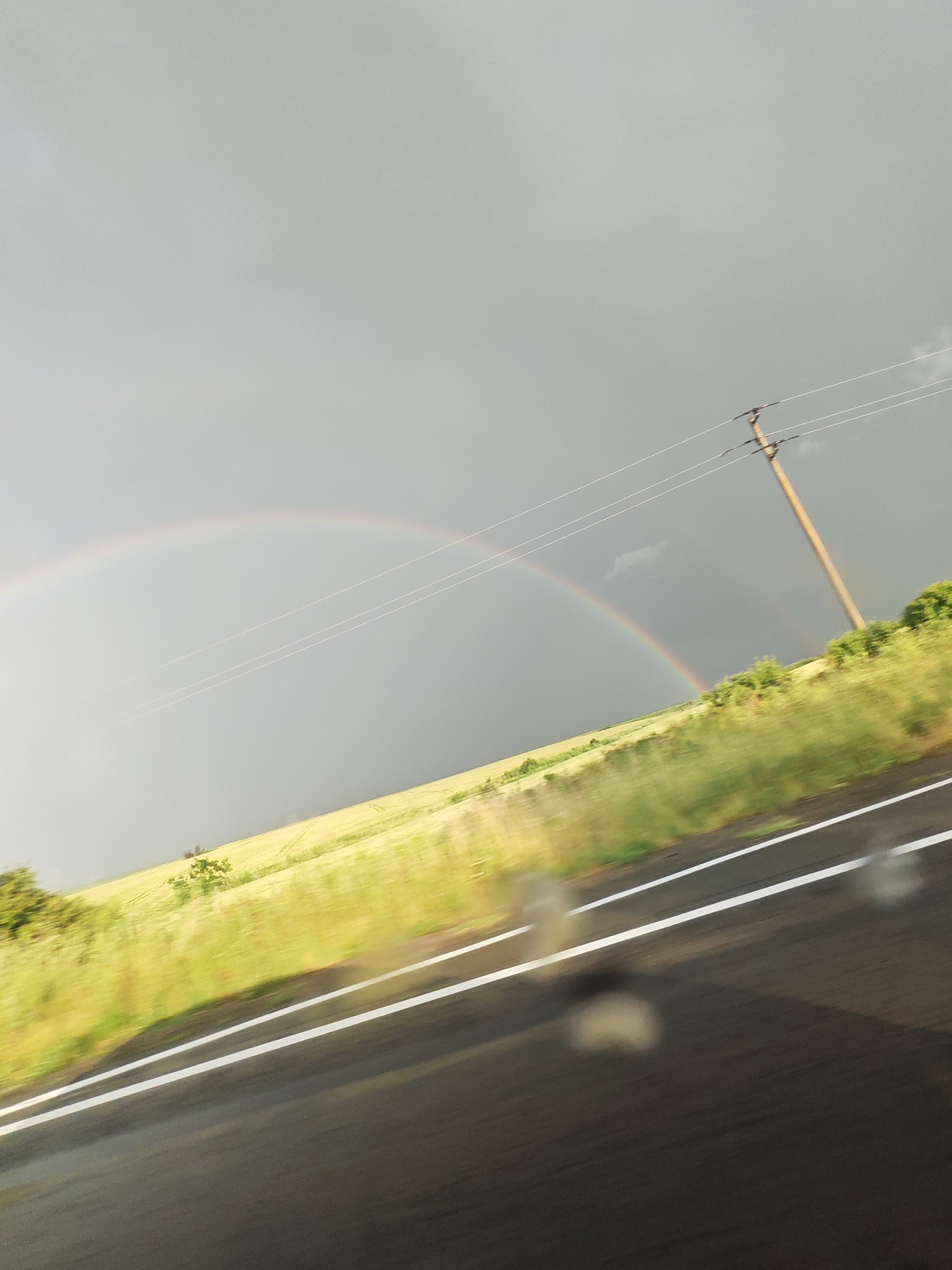 A somewhat blurry, angled shot taken from a moving vehicle on a road. The road has two white lines dividing the lanes. Beyond the road is a grassy field with some vegetation, and in the distance, a power pole is visible. Above the field and vegetation is a striking rainbow under a cloudy sky.