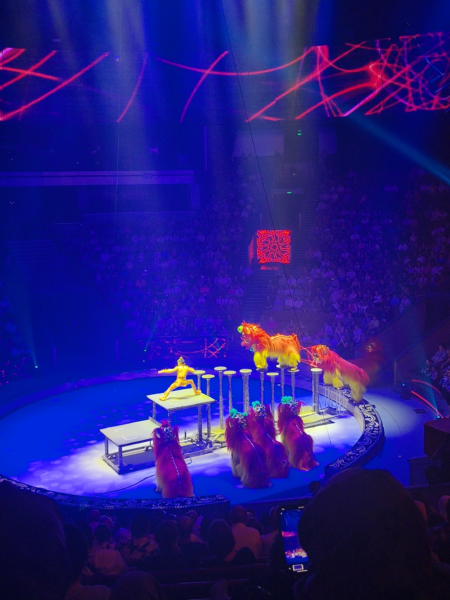 A high-angle, wide shot captures a circus performance taking place in a large, dimly lit arena. The arena floor is illuminated with vibrant blue and purple lighting, with streaks of red light projected from above, creating a dramatic atmosphere. In the center of the arena, a performer in a bright yellow, form-fitting costume stands on a raised platform, striking a pose. Surrounding the performer are several low platforms and tables, and to the right, two performers in elaborate, furry red and yellow lion costumes are perched on raised circular platforms. In the foreground, a group of spectators are visible, with some in the lower right corner of the frame holding up their phones to record the performance. The seating area for the audience is dimly lit and filled with people. Above the arena, a large, glowing red cube with a geometric pattern is suspended. The overall scene depicts a dynamic and visually striking circus act.