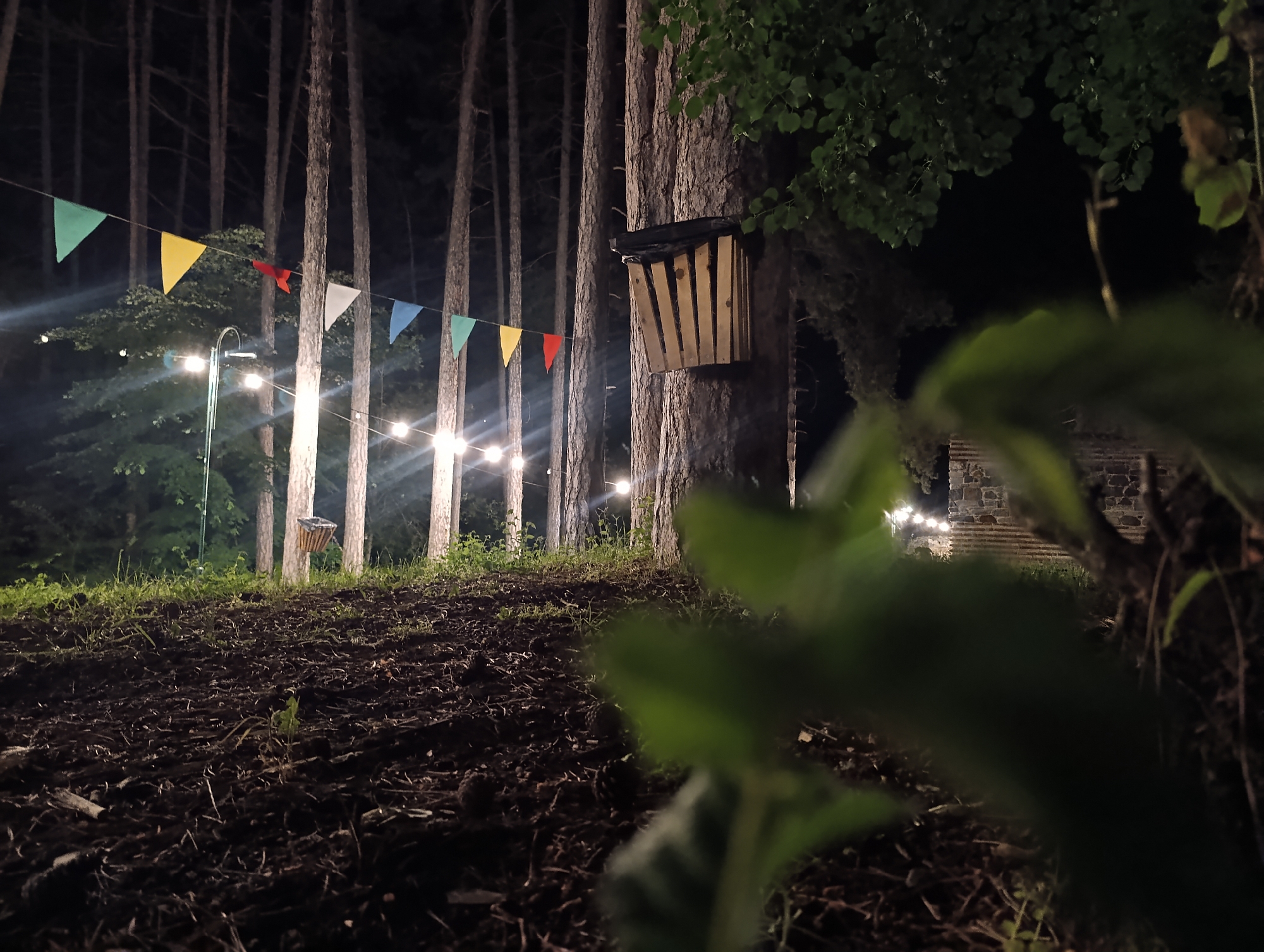 The image displays an artificially illuminated nighttime scene set within a wooded outdoor environment, potentially a park or recreational area in Kyustendil, Bulgaria. In the mid-ground, a string of colorful triangular bunting is suspended, featuring flags in green, yellow, red, white, blue, and a lighter green. Below the bunting, a string of globe-style lights extends horizontally, emitting warm light. To the left, a tall, curved street lamp provides additional illumination. Numerous tall, slender trees, consistent with conifers, create a dense background. A prominent tree trunk on the right side of the mid-ground features an attached wooden, slatted structure, possibly a bat house, topped with dark material. The immediate foreground consists of dark, disturbed earth mixed with sparse green grass and natural debris, sloping gently upwards. Blurred green foliage occupies the lower right and bottom foreground, partially obscuring the deeper view. In the far background on the right, behind the foreground foliage, a stone or brick structure is partially visible, also adorned with string lights. No individuals or specific human activities are observable within the frame.
