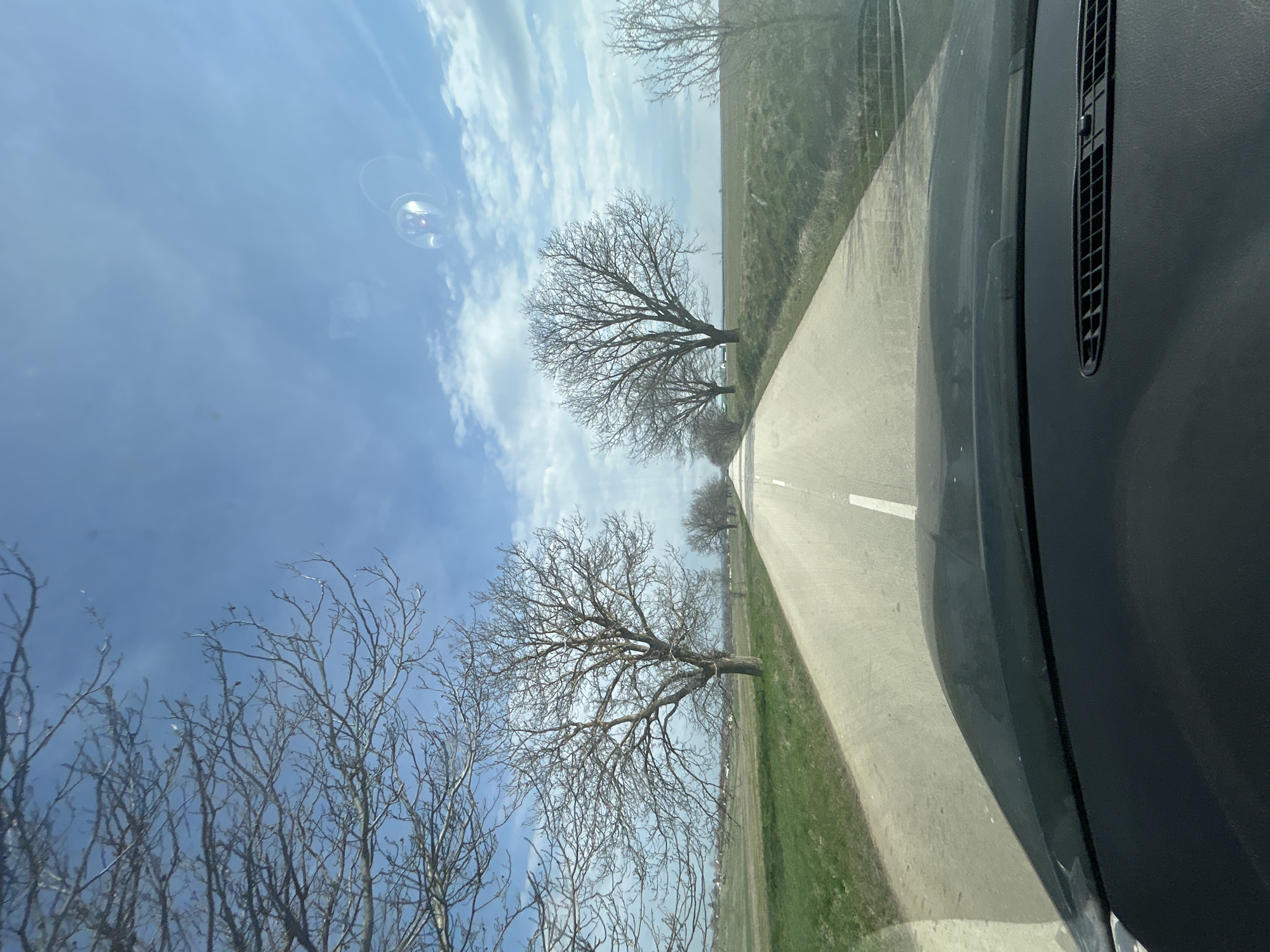 The image captures a first-person perspective from inside a moving vehicle, looking forward down a straight, paved two-lane road in a rural setting, likely within the vicinity of Gorna Mitropolia, Bulgaria. The road surface is light grey, marked by a solid white center line that recedes into the distance under a blue sky with scattered white clouds. Leafless deciduous trees, indicative of late winter or early spring, line both sides of the road, with their bare branches creating a natural archway in the foreground and extending along the road's edges. Beyond the trees, expansive green fields stretch horizontally, with a few distant structures visible on the left side of the horizon. The lower section of the image shows the dark-colored dashboard and a portion of the hood of the vehicle. Reflections are present on the windshield, including a circular object in the upper right area. No individuals or other vehicles are distinctly visible on the road.
