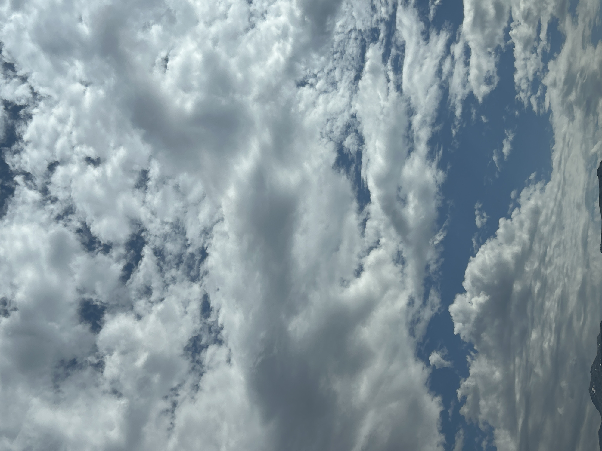The image displays a vertical view of a partially cloudy sky over a natural landscape. The frame is predominantly filled with an expansive arrangement of white and various shades of grey clouds, interspersed with vibrant patches of blue sky. The cloud formations exhibit diverse densities and structures, ranging from bright, fluffy white clusters to larger, thicker, and darker grey masses that create depth and shadows.
Clear blue sky is visible towards the upper left and also extends along the right side of the frame. On the far right edge, a section of a dark, rugged mountain peak is partially visible, suggesting a natural, mountainous environment. The peak appears rocky, with some lighter areas that could be snow or sun-drenched rock surfaces.
The bright illumination and deep blue sky indicate that the scene is set during daytime, likely mid-day to afternoon. The weather is partly cloudy, showcasing a dynamic sky. Given the context of Sofia, Bulgaria, the visible mountain is most likely part of Vitosha Mountain. There is no discernible activity, human presence, or visible text within the image.