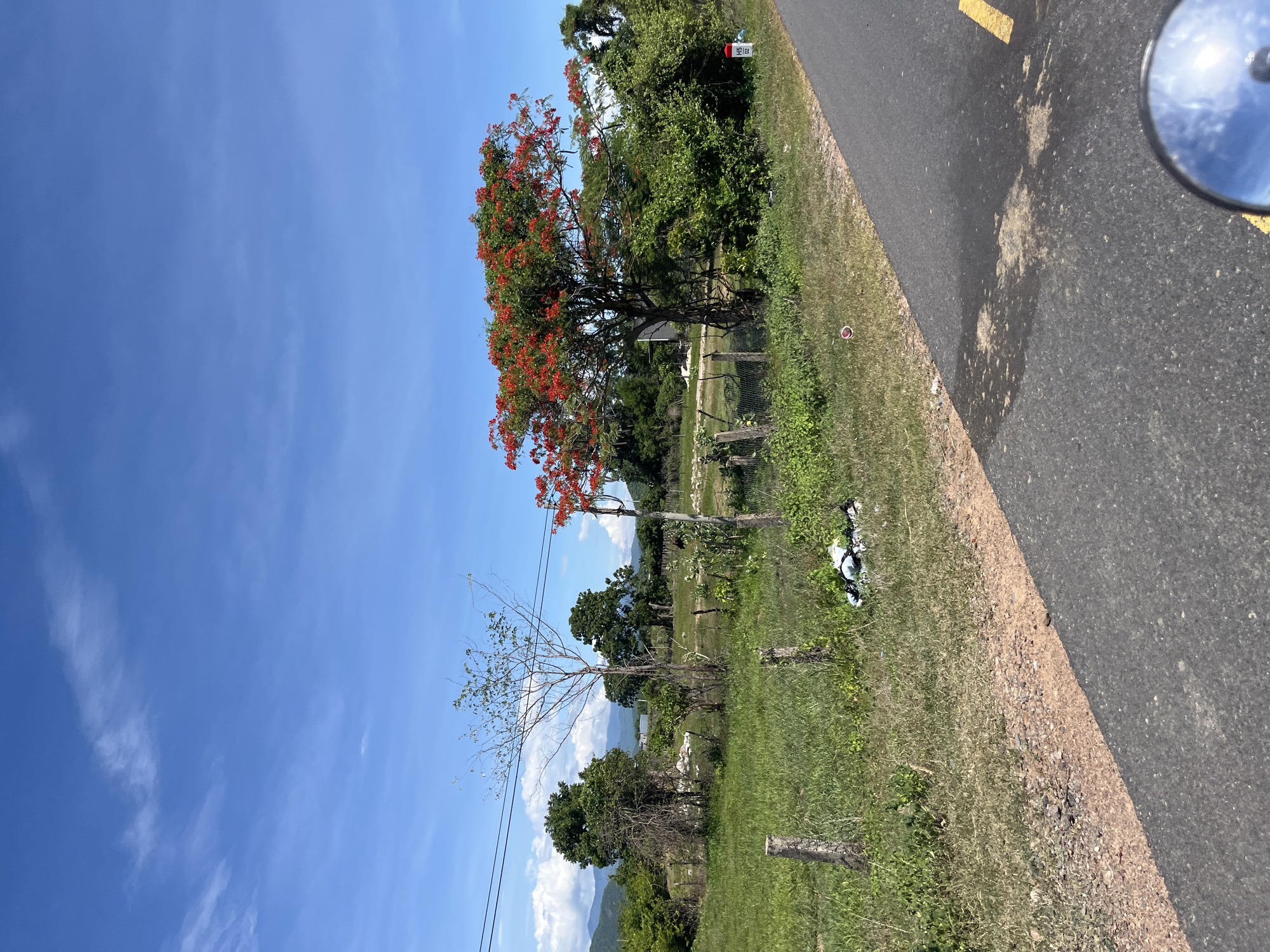 This image depicts a roadside scene in Ham Thuan Bac, Vietnam, under a clear blue sky with scattered white clouds. The foreground shows an asphalt road with a yellow line marking its edge, and a dirt shoulder. A portion of a circular mirror, likely from a vehicle, is visible in the bottom right corner, reflecting the sky and clouds.
Beyond the road, a grassy field stretches towards a fence line. Several wooden posts mark the perimeter of the field. A tree with a bare, dry trunk and sparse green foliage stands in the middle ground, to the left of a vibrant tree adorned with bright red flowers. This flowering tree is the focal point of the scene. Behind the trees, a dense green bush and other trees form a backdrop, with distant mountains visible on the horizon. Scattered white debris, possibly trash bags, lies on the grass near the fence. A red and white marker post, labeled "H5 02", stands near the flowering tree. Power lines traverse the sky above the field. The environment appears rural and natural.