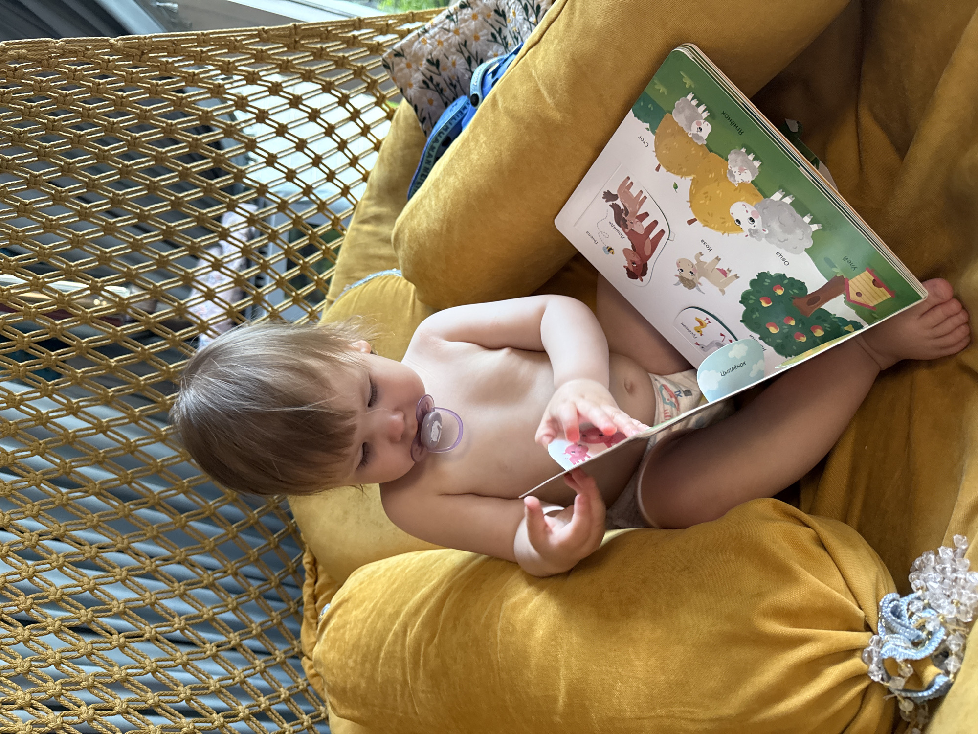 A young child is sitting in a yellow cushioned hammock chair, reading a book. The child is light-skinned, with fair hair and a pacifier in their mouth, and is wearing a diaper. The book is open to a page featuring illustrations of animals and plants, with Russian text visible. The hammock chair has a woven net structure. Additional pillows with floral patterns are in the background. The location is unspecified but is unlikely to be Чёрное, Russia, due to the language on the book being Russian, not exclusively associated with that city.