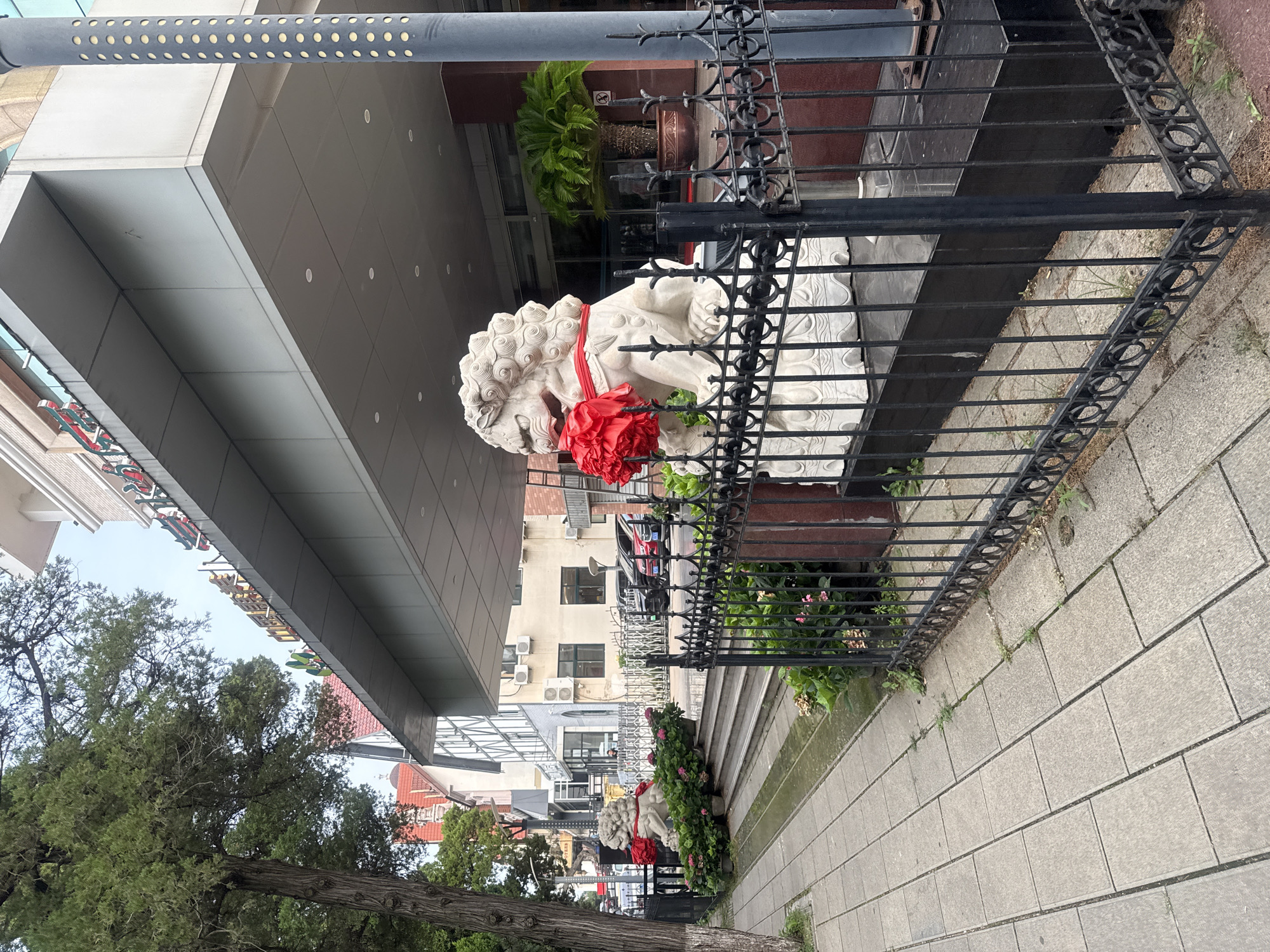 A hotel entrance in Qinhuangdao, China is adorned with two ornate stone lion statues, each decorated with large red fabric bows. The statues are positioned on either side of a set of stairs leading up to the hotel's covered entrance. The entrance itself is marked by a modern overhang. A black wrought-iron fence runs along the front of the property, separating the sidewalk from the hotel grounds. Beyond the fence, a sidewalk made of rectangular grey pavers leads to the stairs. Trees and potted plants contribute to the landscaping. Several cars are parked in the background, and the building exhibits a mix of architectural styles, suggesting it is an established establishment. The sky is overcast.
