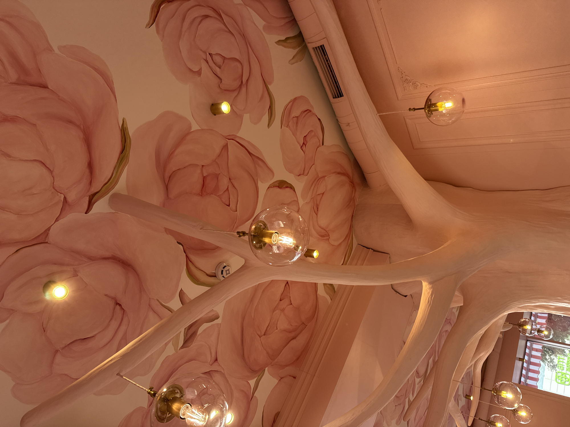 The image shows a close-up view of a ceiling decorated with large, pale pink floral paintings and a whimsical tree-like structure made of light-colored material. Several clear glass pendant lights with exposed Edison bulbs hang from the ceiling, illuminating the scene. The ceiling also features small, circular lights and a smoke detector. In the background, glimpses of a window with striped awnings and trees suggest an outdoor view. The walls are a solid pale pink with decorative molding. The overall aesthetic is whimsical and decorative. The image was taken in Kyiv, Ukraine.