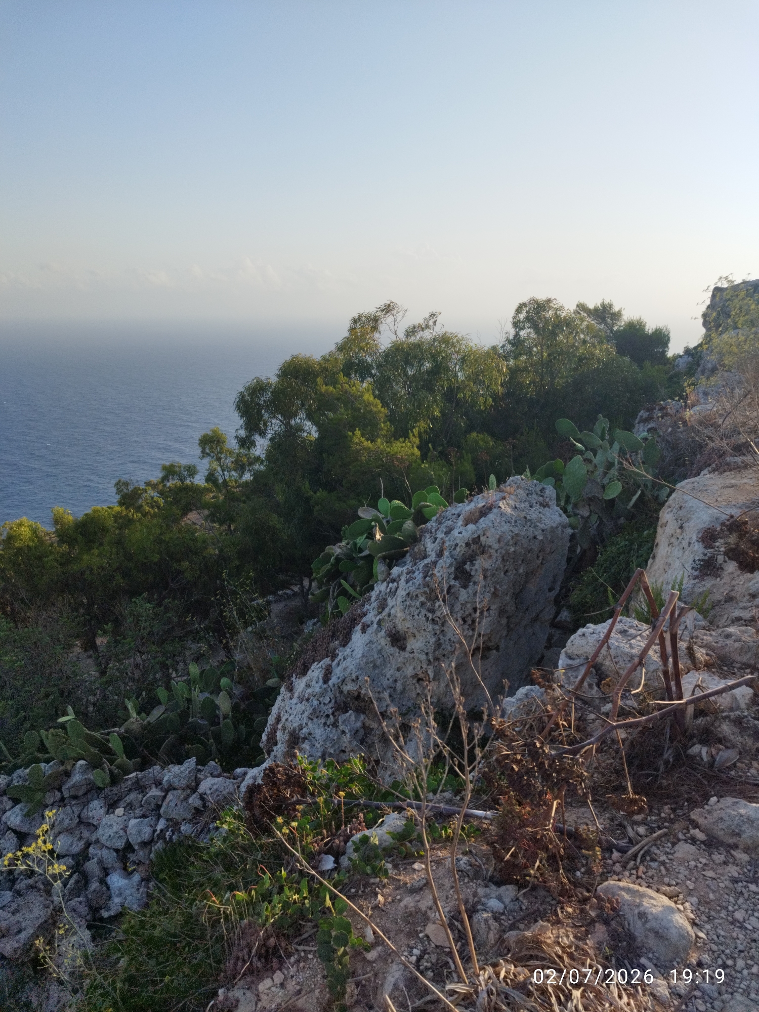 This media file depicts a scenic coastal landscape in Dingli, Malta, during what appears to be either sunrise or sunset, given the soft, diffused light and clear, pale blue sky. The foreground is dominated by rocky terrain and sparse vegetation, including prickly pear cacti, dry brush, and some greenery. Large, weathered grey rocks are scattered across the scene, some forming a low stone wall.
In the mid-ground, a dense cluster of trees with lush green foliage creates a vibrant contrast with the dry, rocky surroundings. Beyond the trees, the deep blue expanse of the sea stretches towards the horizon, where it meets a hazy sky, suggesting a distant coastline or clouds. The overall impression is one of a rugged, natural environment, possibly a cliffside overlooking the sea.
There is no discernible activity or event taking place, as the image focuses on the static landscape. The time of day is indicated by the timestamp visible in the bottom right corner: "02/07/2026 19:19," suggesting early evening. The weather appears to be clear and calm. The natural beauty of the location and the serene lighting evoke a sense of tranquility and natural wonder.