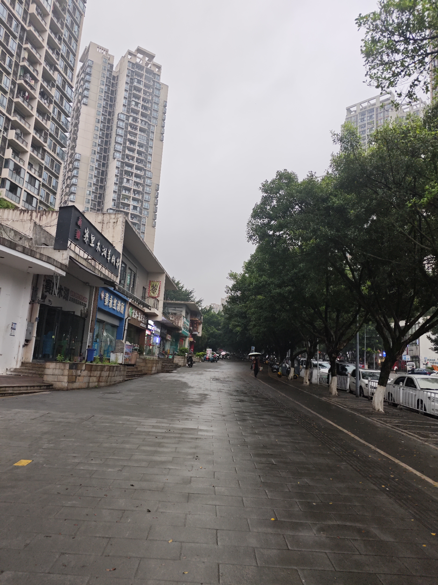 The photograph depicts a street scene in Chongqing High-tech Zone, China. It is a cloudy day, and the pavement appears wet. Tall residential buildings dominate the left side of the frame. Adjacent to the road, storefronts line the street with signage in Chinese. Along the right side, mature trees line the road, offering shade. White cars are parked along the curb. A person with an umbrella is walking in the distance. The street is paved with grey bricks.