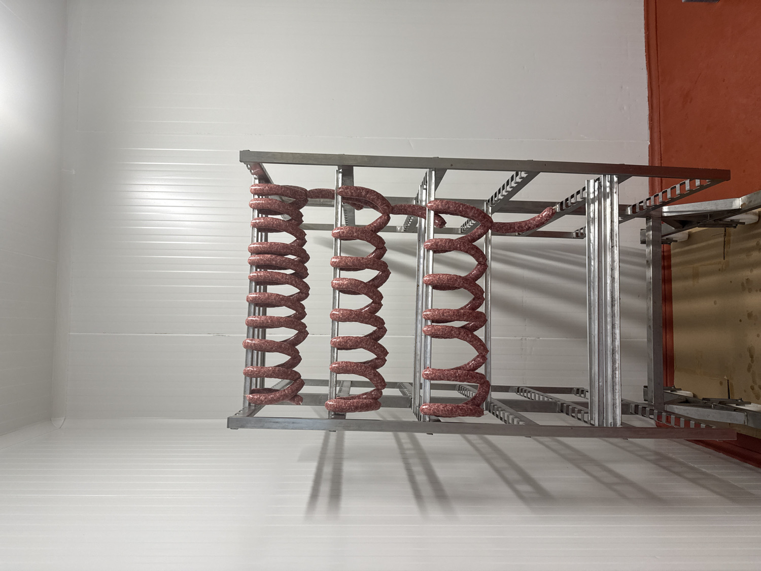 An indoor, well-lit scene in what appears to be a meat processing or cold storage facility in Stara Zagora, Bulgaria. The room features bright white, horizontally paneled walls and a matching white, paneled floor, suggesting a hygienic and controlled environment.
Dominating the center of the image is a large, multi-tiered metal rack system, likely made of stainless steel, on which numerous coiled sausages are hung. The sausages are raw, plump, and reddish-pink, tightly wound in spiral patterns and suspended vertically from the rack's crossbars. There are at least three distinct vertical sections of sausages visible, with each section holding multiple coils. The rack itself is composed of vertical support beams and horizontal bars with evenly spaced notches, designed to hold the sausages securely.
In the background, on the right side of the image, a section of a reddish-orange wall or door is visible, contrasting with the predominantly white interior. Shadows from the racks and sausages are cast on the white floor and walls, indicating artificial lighting from an unseen source. No people are present, and there is no visible text or branding. The overall impression is one of an industrial setting where food products are prepared or cured.