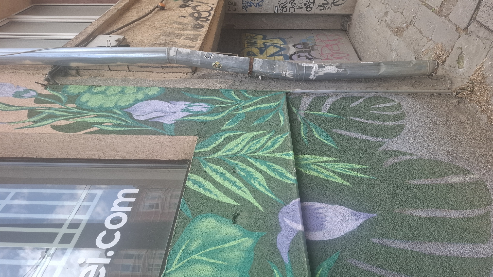 The image shows a close-up view of a building's exterior in Sofia, Bulgaria. On the left, a large window with a white logo reading "ei.com" is visible. The window reflects the sky and buildings. Adjacent to the window, a section of the building is painted with a mural depicting large green leaves and purple flowers. The mural has a textured appearance.
To the right of the mural, a grey metal downspout runs vertically along the building. The downspout has several stickers on it and appears to be slightly dented. Further to the right, there is a doorway covered in graffiti, with various tags and inscriptions visible. The ground in front of the building is paved with concrete slabs and there is some dry vegetation and debris. The overall scene suggests an urban environment with a mix of commercial signage, street art, and architectural elements.