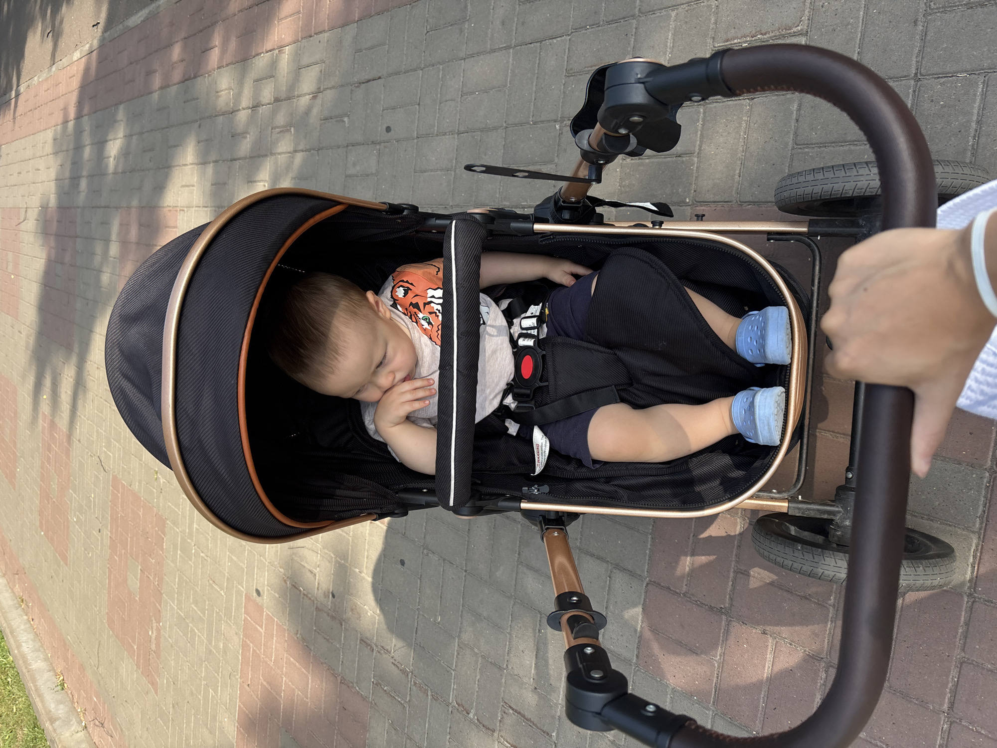 A young child is seated in a stroller with a black canopy and rose gold accents. The child, wearing a grey t-shirt with an orange tiger graphic and dark shorts, is looking down with their finger in their mouth. The stroller is positioned on a brick pathway, with green grass visible on the left side. The scene appears to be outdoors, likely in a park or on a sidewalk in Naberezhnye Chelny, Russia. The perspective is from someone pushing the stroller, with their hands and forearm visible at the bottom of the frame.