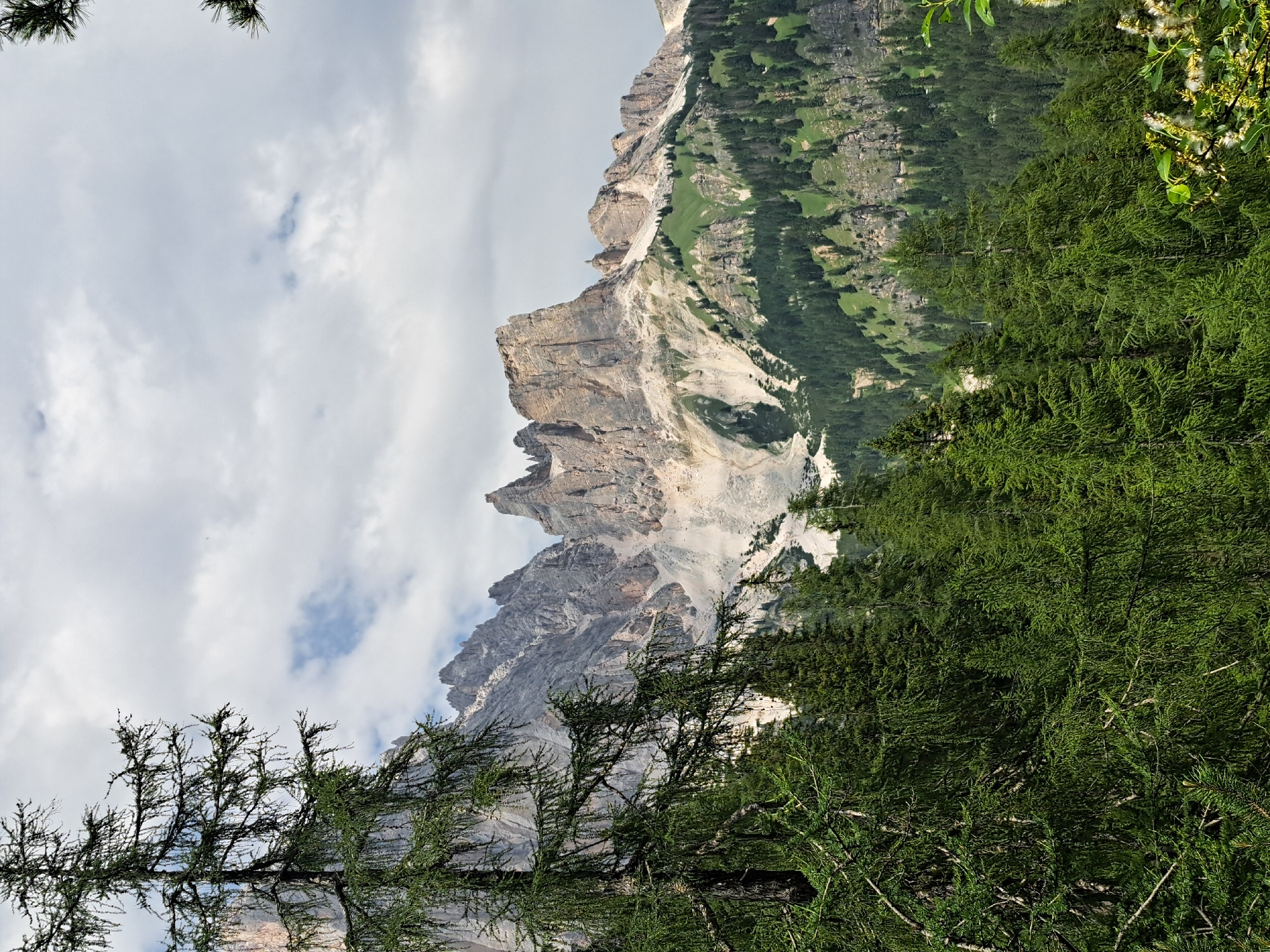 The image shows a vertical view of a mountainous landscape. In the foreground, the branches and needles of evergreen trees fill the bottom and right sides of the frame. Behind the trees, a rugged, steep mountain face rises, characterized by sharp peaks and rocky, uneven surfaces. The mountain exhibits layers of rock in shades of gray and white, with patches of lighter soil or scree.
Further back, the mountain slopes are covered in a dense, dark green forest, interspersed with lighter green, grassy areas. The overall impression is one of a natural, wild alpine environment. The sky above is partly cloudy, with white and gray clouds scattered across a pale blue expanse. The lighting suggests it is daytime, likely mid-morning or afternoon, with diffused sunlight filtering through the clouds. There are no people or man-made objects visible in the scene, emphasizing the remote and natural character of the location. The image evokes a sense of grandeur and the raw beauty of nature.