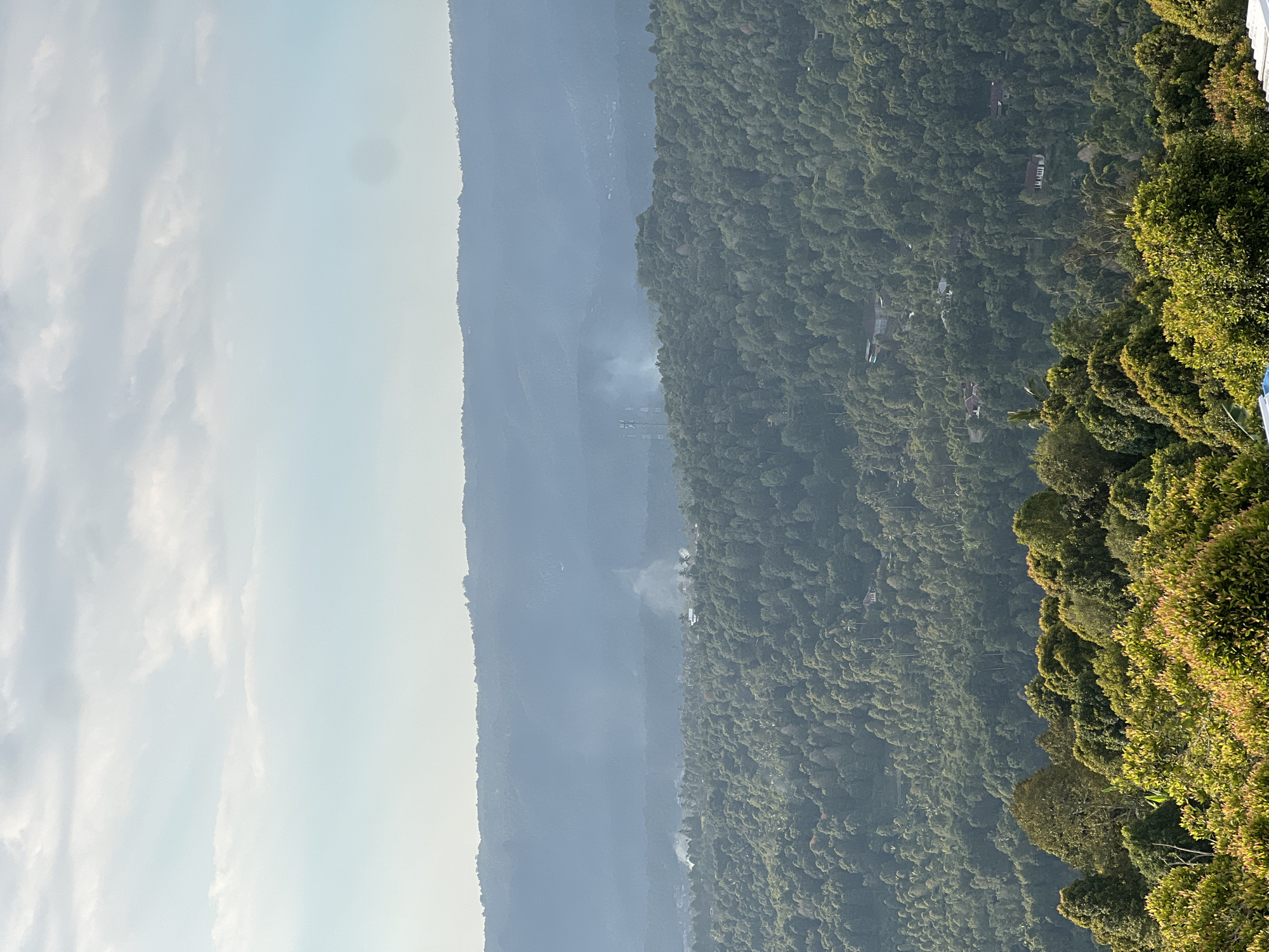 A panoramic vista captures the lush, undulating landscape of Busungbiu, Indonesia. In the foreground, vibrant green foliage, illuminated by sunlight, forms a dense canopy. Beyond this, a rolling expanse of tropical forest stretches towards distant, mist-shrouded mountains. Wisps of smoke rise from several locations within the forested hills, suggesting agricultural burning or other localized activity. The sky above is a gradient of pale blue, transitioning to a hazy white with scattered clouds, hinting at a warm, humid atmosphere typical of the region. The scene is devoid of human presence, emphasizing the natural beauty and rugged terrain of the area.