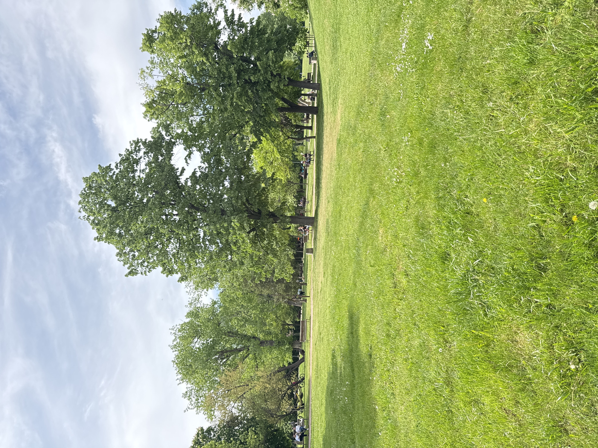 The image shows a park scene in Sofia, Bulgaria. A large expanse of green grass occupies the majority of the right side of the frame. A line of trees runs along the left, interspersed with benches and people sitting or standing nearby. The sky above is partly cloudy. There are few people and no animals.