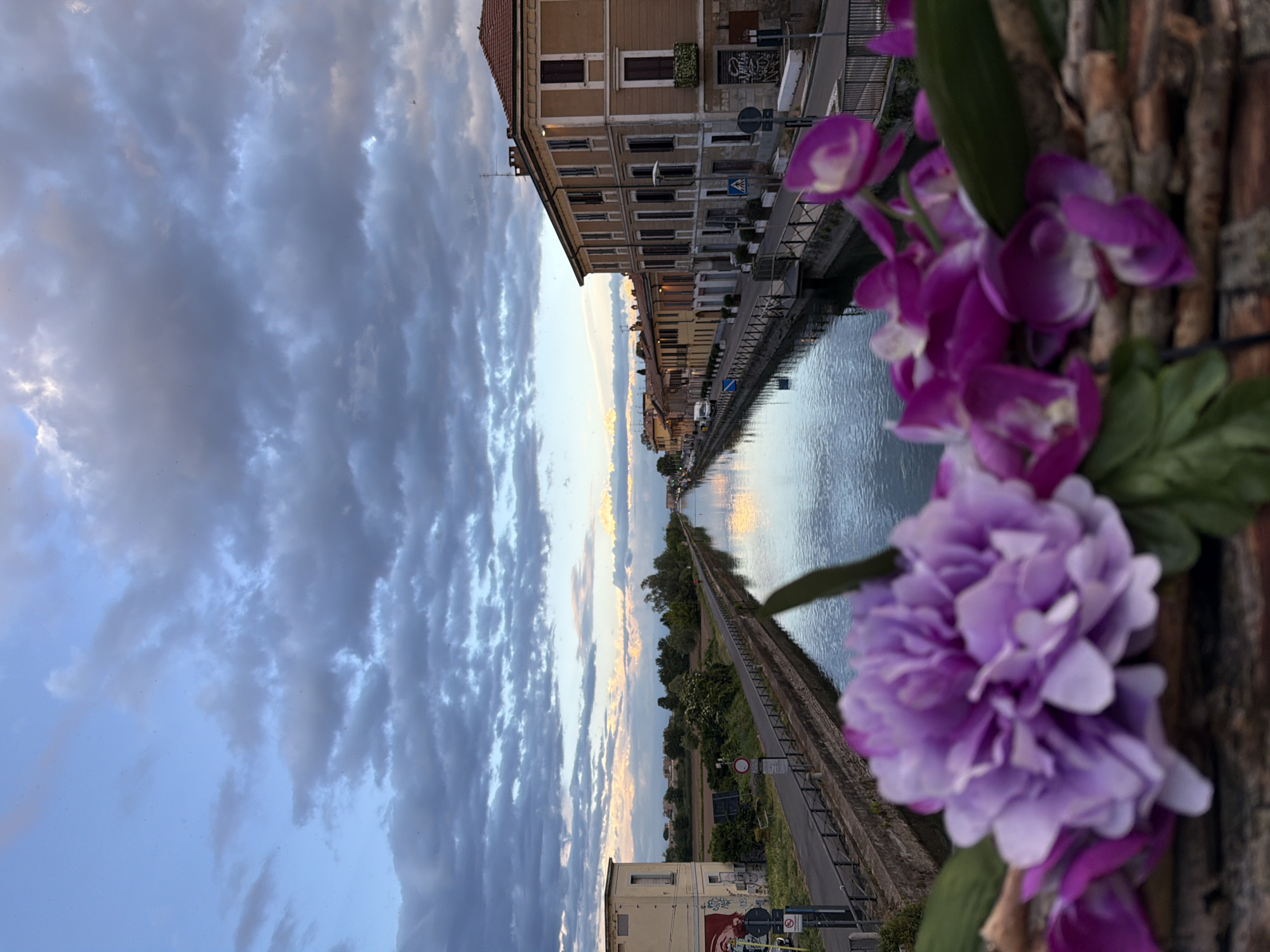 The image depicts a canal in Bonirola, Italy. On the right side of the canal is a row of buildings. On the left side is a road and green spaces. The sky is cloudy. In the foreground, there are artificial purple flowers and wooden sticks. The image is rotated 90 degrees.