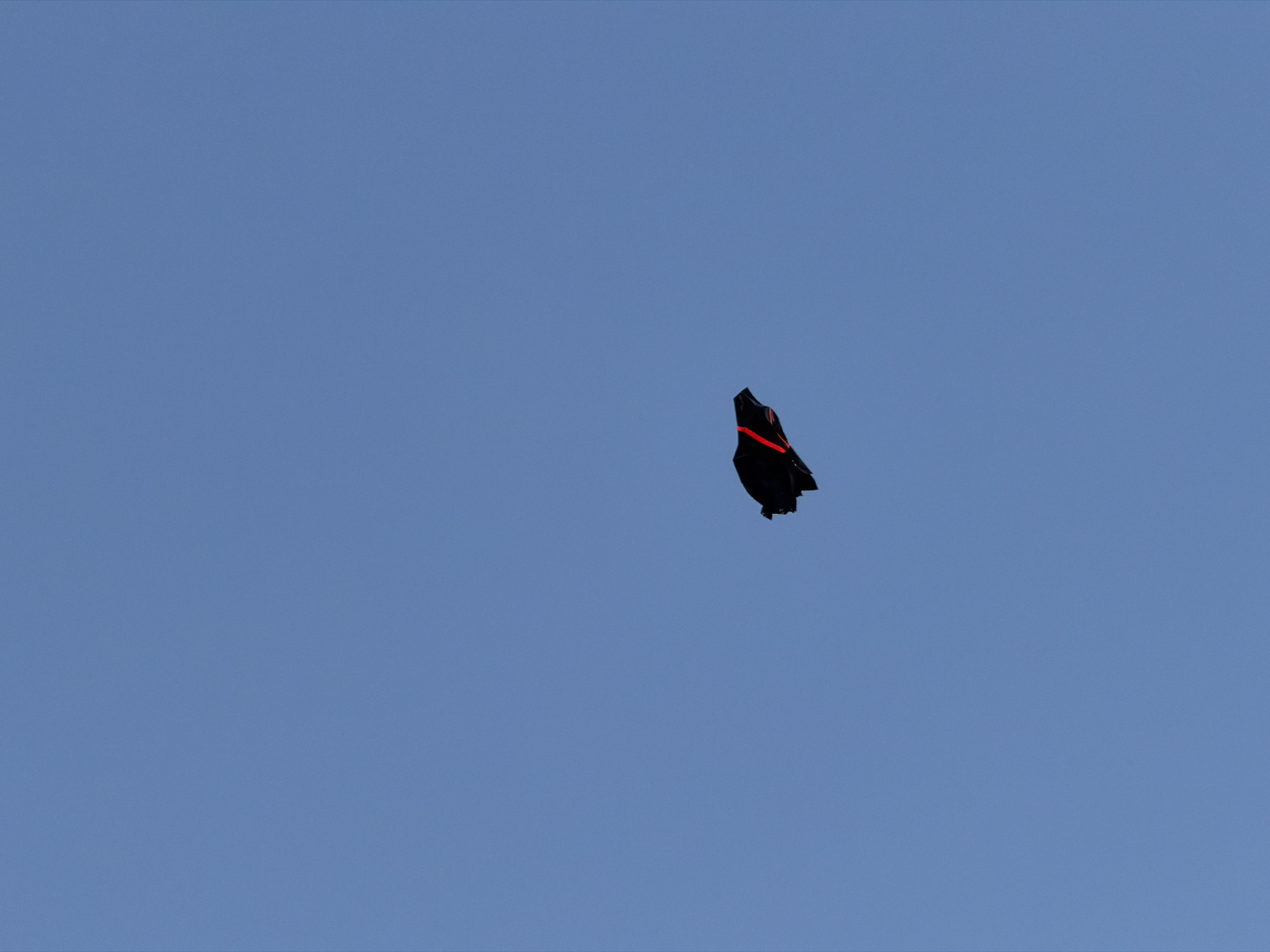 A black kite with a red stripe is flying in a clear blue sky. The kite is positioned in the lower center of the frame. There are no people or other objects visible in the image. The environment is solely the sky.