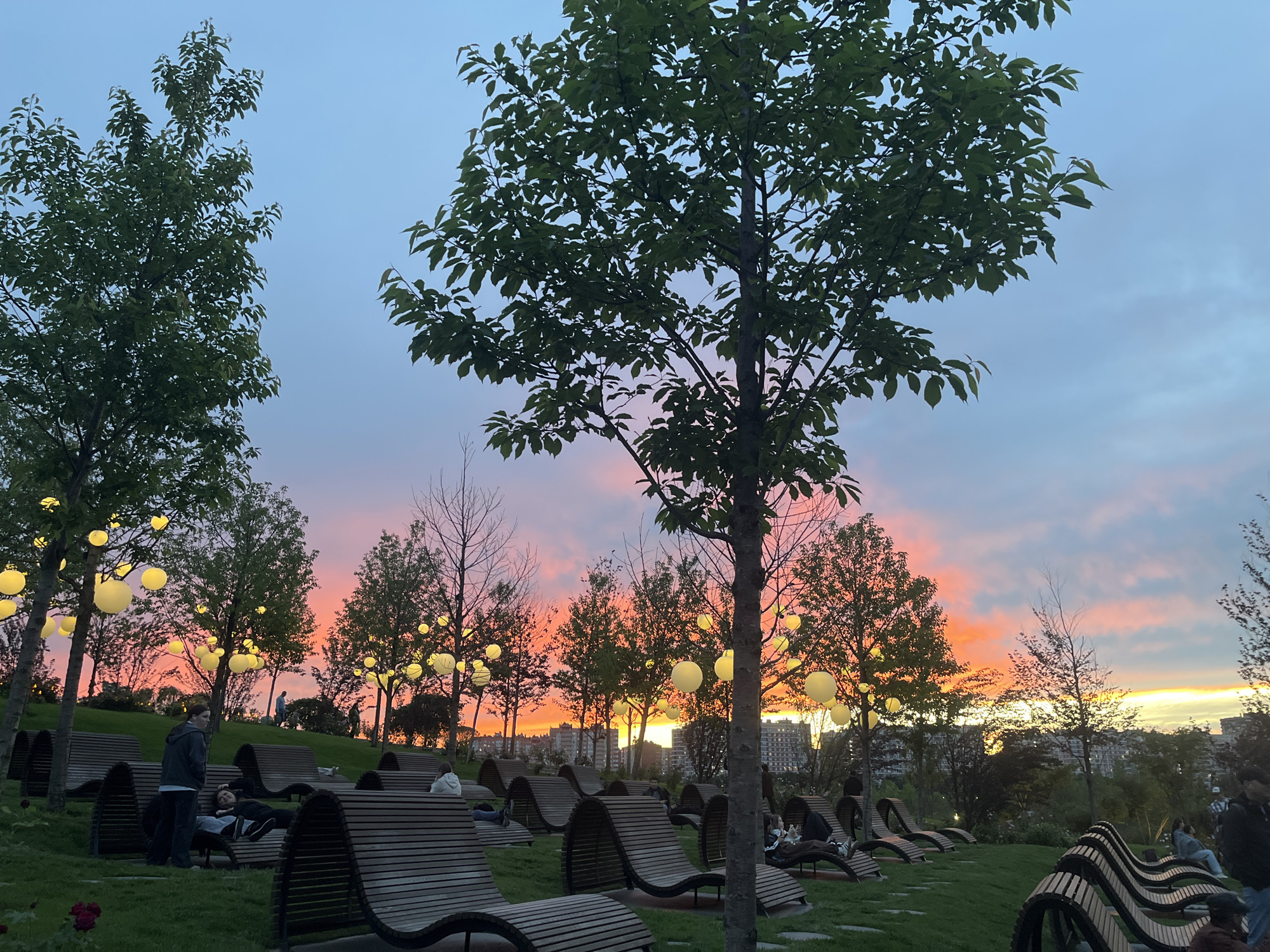 The image captures an outdoor park or recreational area at dusk, featuring a vibrant sunset. The sky displays a beautiful blend of deep orange, pink, yellow, and blue hues, particularly vivid near the horizon.
In the foreground and midground, numerous modern, curved wooden lounge chairs are arranged on a gently sloping grassy lawn. These chairs are scattered across the scene, with many occupied by people relaxing, sitting, or lying down. Several individuals are visible; one person in a dark hoodie stands near an occupied chair, while others are seated or reclining, enjoying the evening atmosphere.
Various trees with green foliage are prominent throughout the park, with some bare-branched trees also visible, especially against the bright sunset. Hanging from the branches of multiple trees are glowing spherical lights, which emit a soft, yellow light, enhancing the peaceful ambiance. In the distance, the silhouettes of urban buildings are faintly discernible against the colorful sky, suggesting an urban park setting. The ground is covered in well-maintained green grass, with some stepping stones providing pathways.
The scene conveys a sense of tranquility and leisure, as people unwind and enjoy the picturesque sunset in a comfortable outdoor environment. There is no visible text in the image. The location is Krasnodar, Russia.