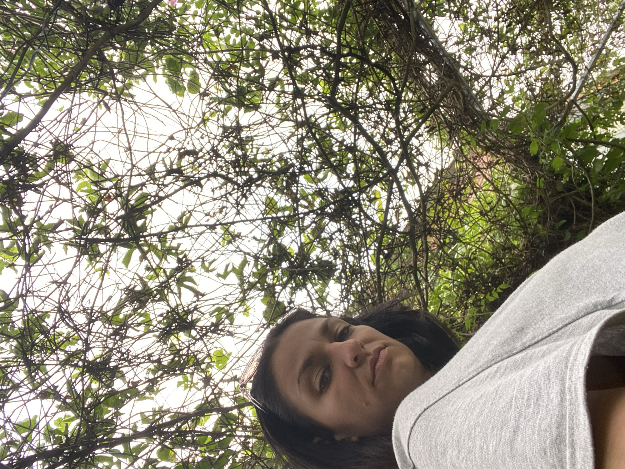 The image is a low-angle, close-up selfie of a woman lying down outdoors, with her face in the lower right quadrant of the frame. She has dark hair, brown eyes, and appears to be looking slightly upwards and to the left. She is wearing a grey t-shirt, and sunglasses are pushed up on her head. The background is dominated by a dense canopy of tangled branches and green leaves, with patches of bright sky visible through the foliage. The perspective suggests she is looking up through trees, possibly in a garden or natural setting. The lighting is diffused, indicating it could be daytime, perhaps overcast or in a shaded area. The scene is set in Thôn 3, Vietnam.