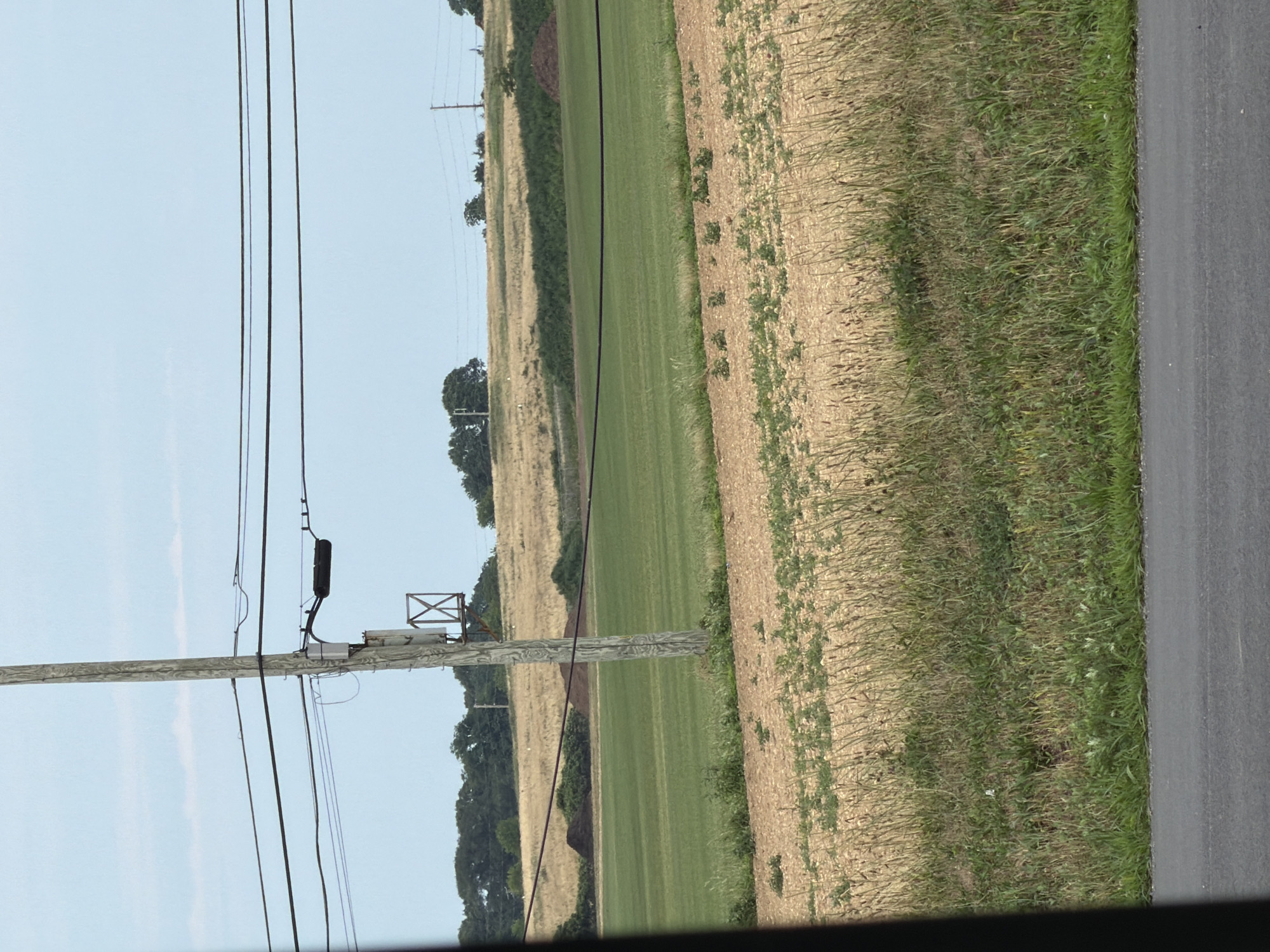 The image shows a rural landscape with a clear sky. In the foreground, a paved road is visible with a narrow strip of green grass along its edge. Beyond the grass, there is a field of dry, golden-brown vegetation, sparsely dotted with small green plants. Further back, a vibrant green field stretches across the middle ground, with a thin strip of dry vegetation separating it from another field of golden-brown color in the background. This background field is characterized by undulating terrain and patches of dark green foliage.
A prominent wooden utility pole stands slightly off-center, supporting multiple black electrical wires that span the upper portion of the image. Attached to the pole are various pieces of electrical equipment, including a gray box and a smaller, open-sided metal structure. A dark mound of material, possibly soil or compost, is visible in the background. The overall scene suggests a location in a rural or agricultural area, with the utility pole and wires indicating infrastructure within a natural environment. The presence of this specific type of utility pole and the surrounding agricultural landscape are consistent with a location in Mattituck, United States of America.