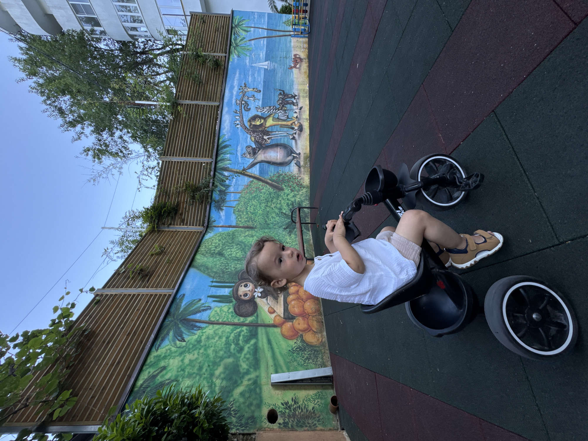 The image depicts an outdoor playground area located in Sochi, Russia. In the foreground, a young child with light brown, curly hair is seated on a black tricycle, looking directly towards the viewer with a neutral expression. The child is wearing a white short-sleeved top, light-colored shorts, and brown and white sandals. The tricycle features a black frame, seat, handlebars, and front basket; its front wheel displays a white outer rim, and one rear wheel is partially visible on the ground.
The midground is occupied by a long, low wall painted with a vibrant mural. The left section of the mural illustrates a cartoon character resembling Cheburashka, surrounded by a pile of oranges, set against a background of green foliage and palm trees. The right section of the mural portrays characters from the "Madagascar" animated film (a hippo, giraffe, lion, zebra, and monkeys) on a sandy beach beside an ocean, featuring a visible sailboat and a red crab.
Above the mural, a wooden slatted fence structure supported by metal posts is visible, with green vines and foliage growing on and around it. Mature trees extend upwards behind this fence, particularly prominent on the right side of the frame. A light-colored, multi-story residential building with multiple windows is partially visible on the far right, beyond the trees and fence.
The ground covering consists of interlocking rubber tiles in alternating dark green and dark maroon colors. Additional objects include two metal items leaning against the wall on the far left, a wooden bench partially obscured in the mid-left background, and a colorful children's play structure in the far-right background. The scene is illuminated by natural daylight under a clear blue sky.