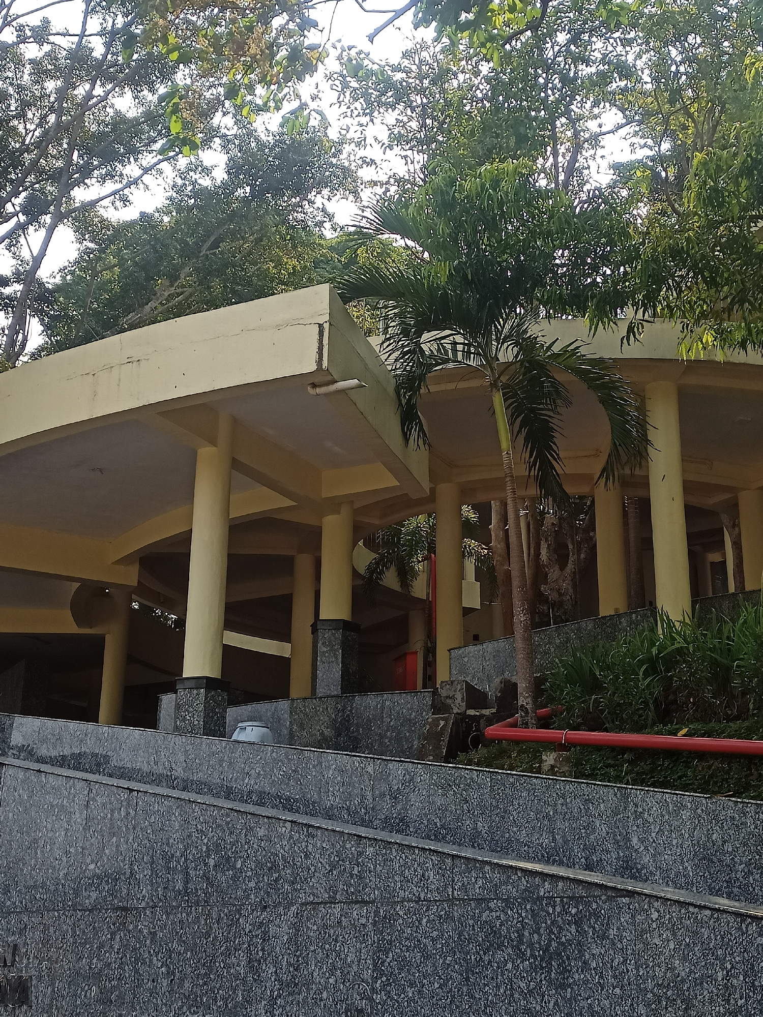 This is an eye-level, full shot of a covered outdoor structure with yellow beams and columns, and a gray marble-patterned ramp in the foreground. The structure appears to be open on at least two sides, with several columns supporting a flat, yellow ceiling. A palm tree stands to the right of the frame, in front of the structure. The background is filled with lush green trees. A red pipe runs horizontally along the bottom right of the image. The scene is set outdoors in a location that appears to be a park or recreational area, possibly in Gondangrejo, Indonesia, given the tropical vegetation and architecture. There are no people visible in the image.