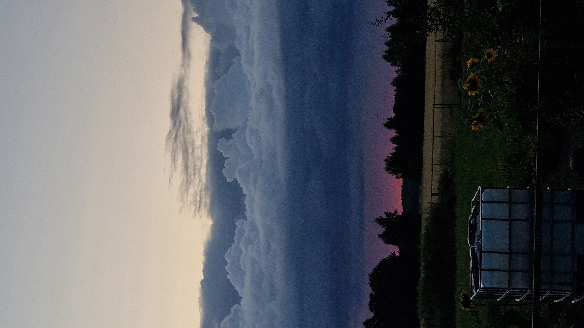 A vertical, low-angle shot captures a twilight scene over a rural landscape in Vysokoe, Russia. The sky dominates the upper two-thirds of the frame, transitioning from a pale, yellowish-gray at the top to deep blues and purples towards the horizon. A thick layer of dark, textured clouds stretches across the middle of the sky, with lighter, wispy clouds above them. Silhouetted trees form a dark line along the horizon.
In the foreground, a large, white, rectangular tank with a metal cage structure sits on the left side. In the center and right, a patch of green grass is visible, with a few sunflowers in bloom. A wire fence runs horizontally across the lower portion of the image, partially obscuring the foreground elements. The overall mood is serene and atmospheric, characteristic of the end of the day.