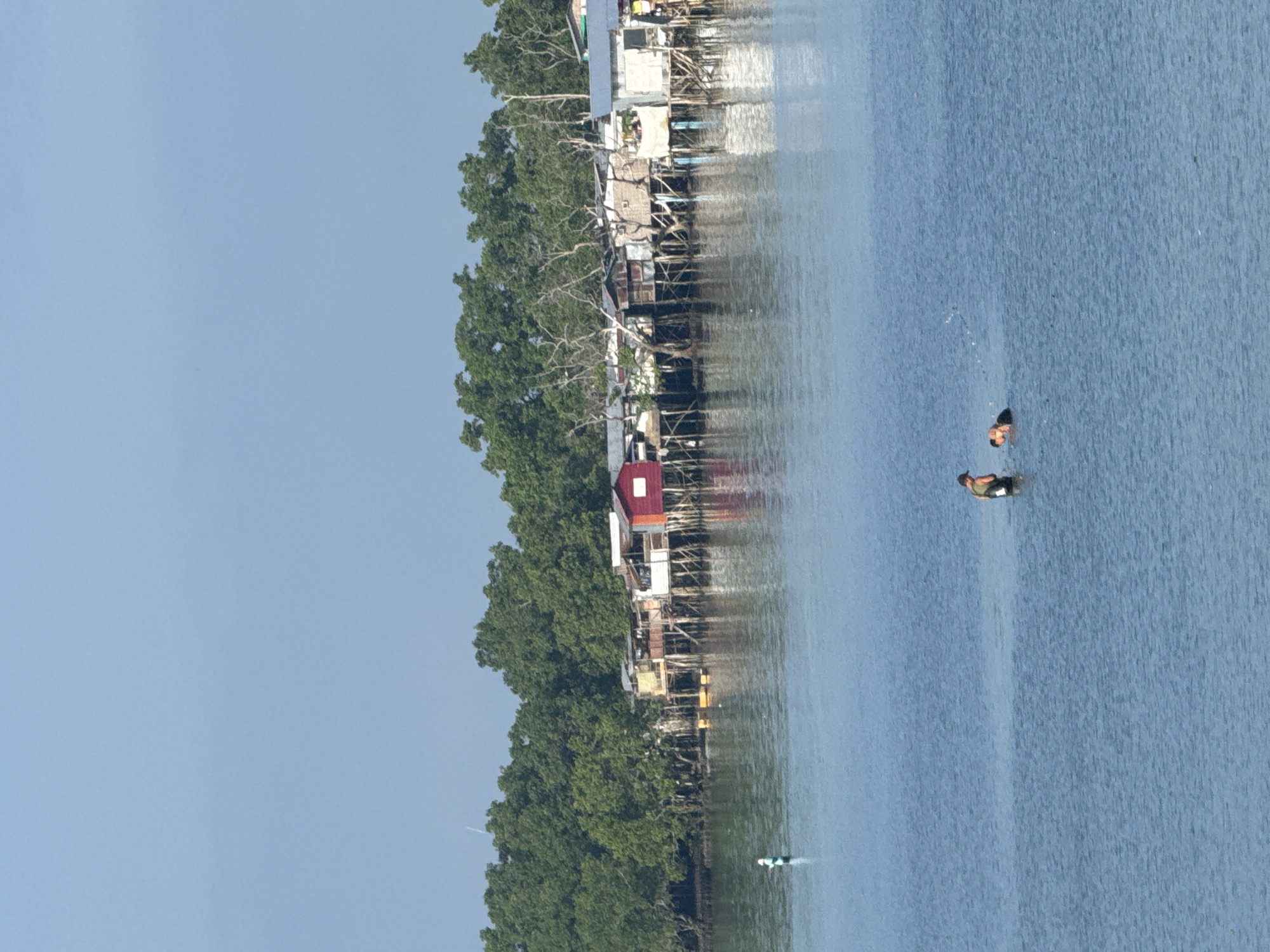 The image depicts a waterfront scene in Davao City, Philippines, likely within a coastal barangay or near a fishing village. In the foreground, the calm blue water of the sea or a large river stretches across the frame. Two individuals are partially submerged in the water, appearing to be engaged in an activity together. One person, wearing a dark hat and a vest, stands upright. Beside them, another person is partially underwater, possibly swimming or retrieving something.
In the mid-ground, a line of stilt houses extends along the water's edge, characteristic of coastal communities. These houses are built on wooden stilts, with various materials forming their walls and roofs, some appearing weathered. A vibrant red house stands out among the more muted colors of the other structures. Lush green trees form a dense backdrop behind the houses, suggesting a natural, vegetated shoreline.
In the far distance, the sky is a pale, overcast blue, hinting at a potentially humid or temperate climate. The overall impression is one of a functional, lived-in waterfront environment, where human activity coexists with the natural elements of water and vegetation. The presence of the stilt houses and the individuals in the water strongly suggests a location where life is closely tied to the marine or riverine ecosystem.