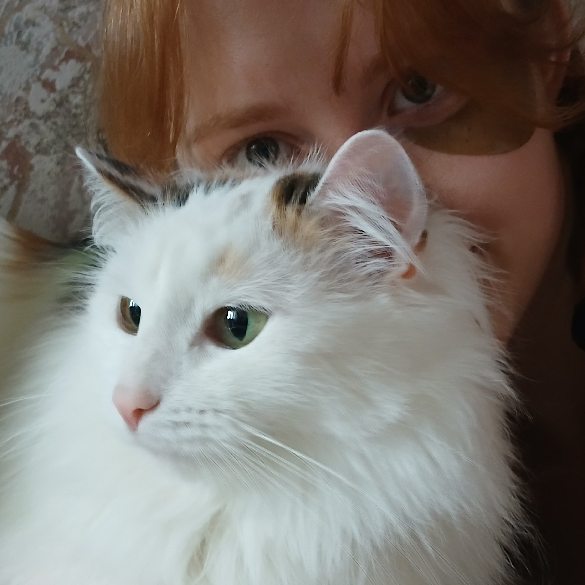 This close-up portrait captures a person with auburn hair and a fluffy, predominantly white cat in an intimate setting. The cat is featured prominently in the foreground, its head turned slightly to the left, revealing its left profile. It has long, white fur with small patches of light brown and dark brown/black on its ears and head. Its eyes are a striking green, and its nose is pink. Long white whiskers fan out from its snout.
Behind the cat, a person is partially visible, peeking from behind the cat's head. The person has reddish-brown hair and fair skin. One of their eyes is clearly visible, with a light-colored iris (possibly blue or grey-green), looking towards the viewer. The other eye is partially obscured by the cat's ear. The person appears to be holding or embracing the cat, creating a sense of companionship and affection.
The background is indistinct, showing a light-colored, possibly textured surface behind the person's head. The lighting is soft and natural, highlighting the textures of the fur and hair. There is no visible text. The image evokes a calm and tender moment, likely taken indoors in Yekaterinburg, Russia.