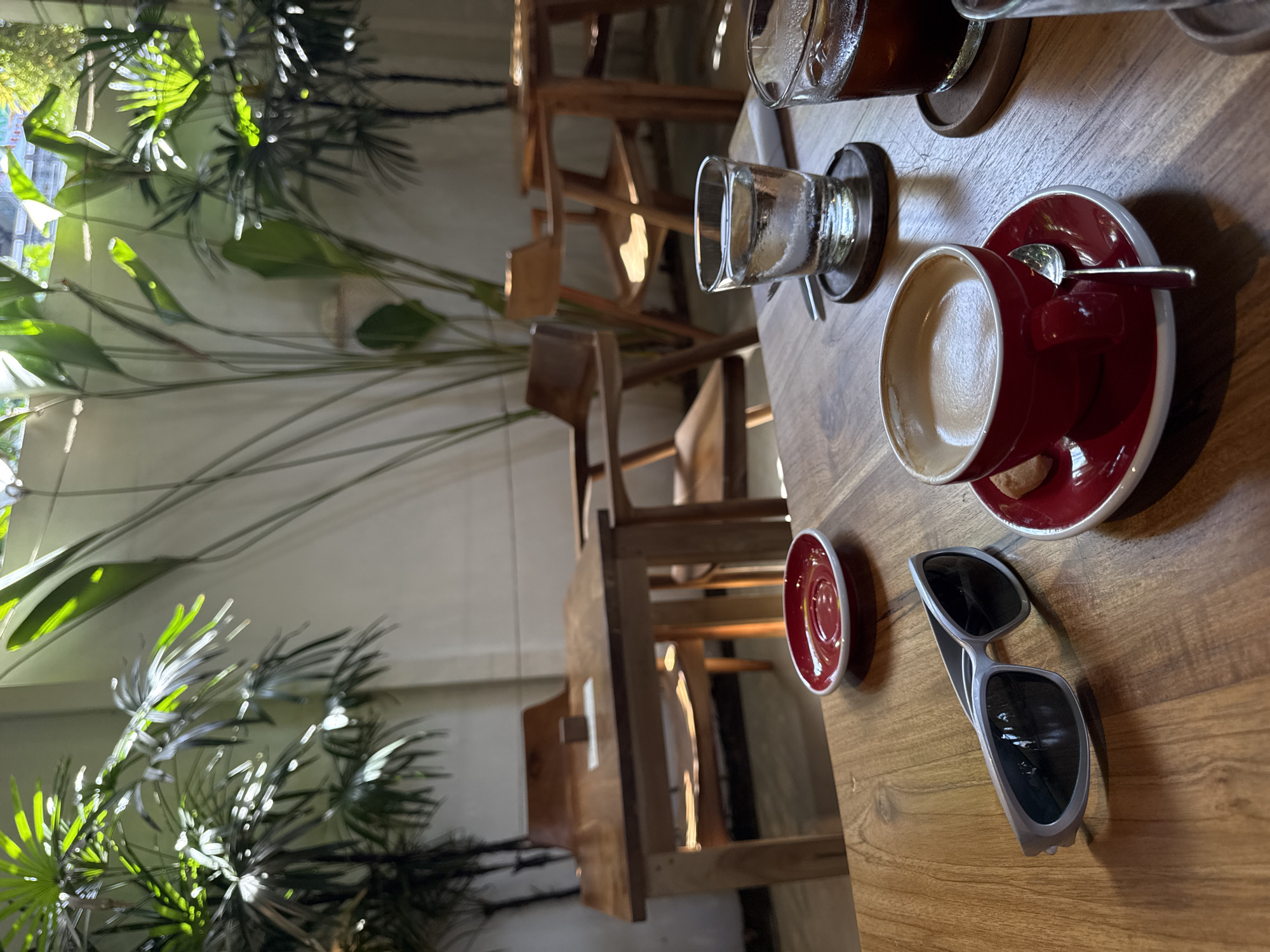 In the city of Peleana, Sri Lanka, a sun-drenched cafe features a wooden table in the foreground with a pair of sleek, silver sunglasses, a red coffee cup with a spoon and a biscuit on a matching saucer, a glass of water with ice, and a glass of iced coffee. Behind the table, wooden chairs and tables are arranged amidst lush green plants, creating a serene atmosphere. The natural light filters through the foliage, casting dappled shadows across the scene. The cafe appears tranquil, with no people present.