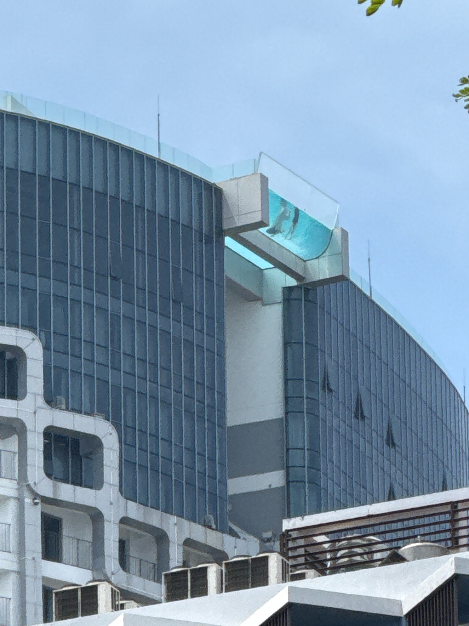 The image shows a rooftop infinity pool with a glass bottom and sides, extending outwards from a modern building in Nha Trang, Vietnam. The pool contains one person swimming, visible through the transparent structure. The building is tall and features a facade of dark blue glass panels. Below the pool, architectural elements of white concrete with rounded edges are visible, possibly part of balconies or walkways. The sky is clear blue, and a few green leaves from a tree are seen in the upper right corner.