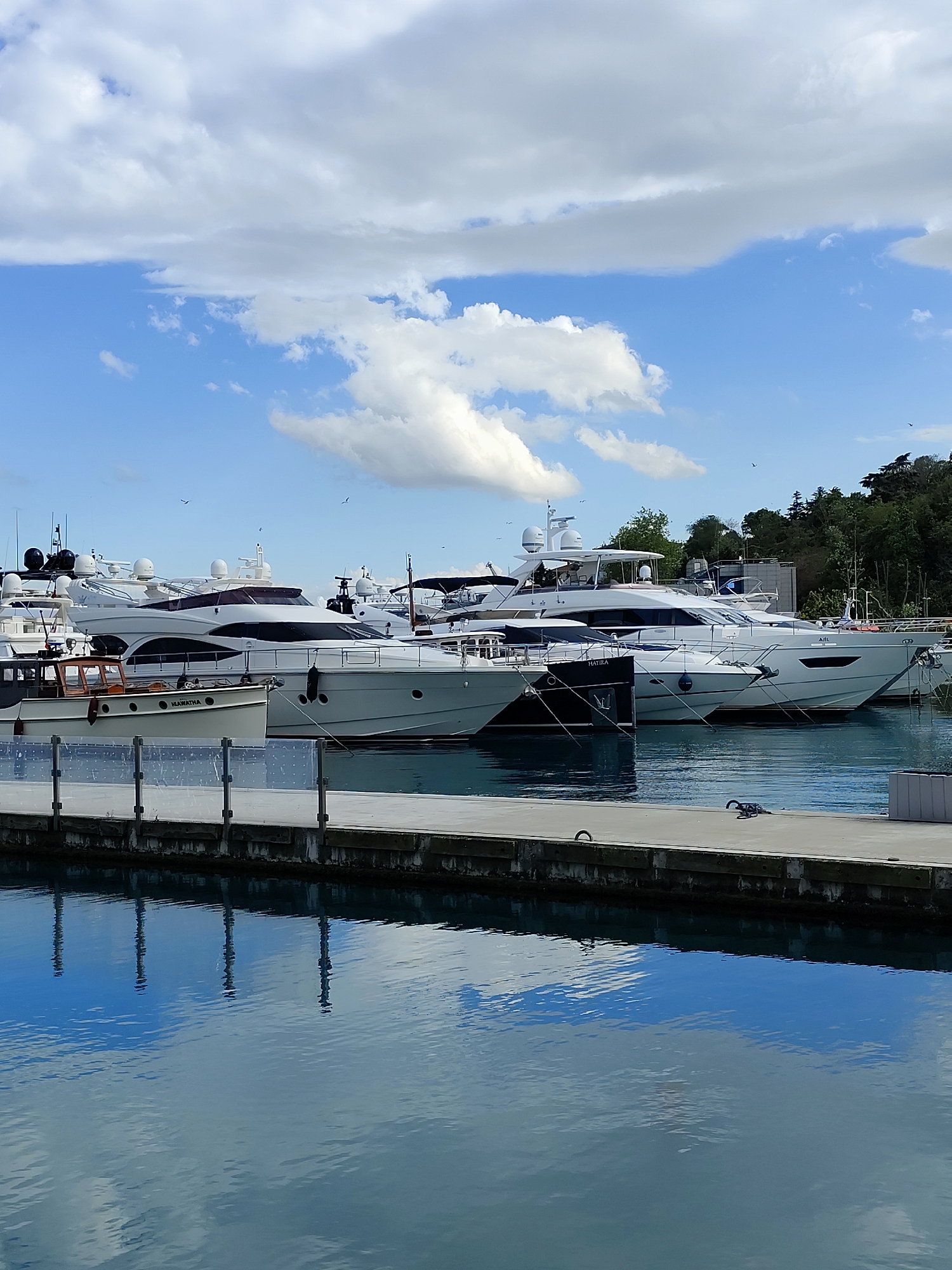 The image shows a marina in Unknown, Unknown on a partly cloudy day. A variety of yachts are docked alongside a concrete pier. The water reflects the sky and the pier. Trees are visible in the background on a small hill. There are no people visible.